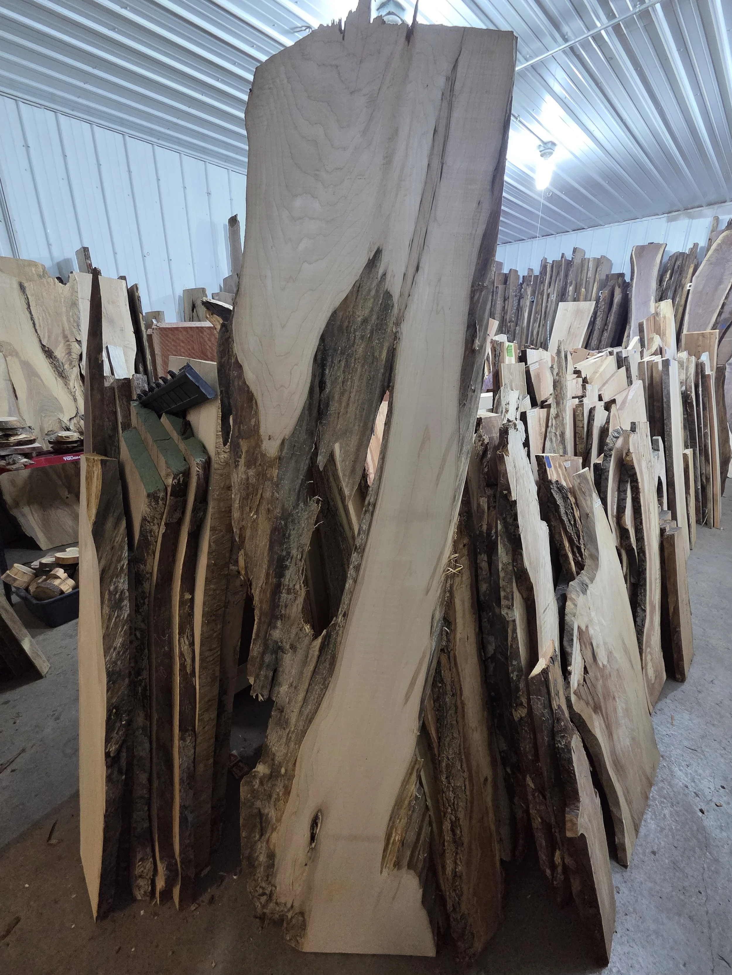 #4021 Hard Maple