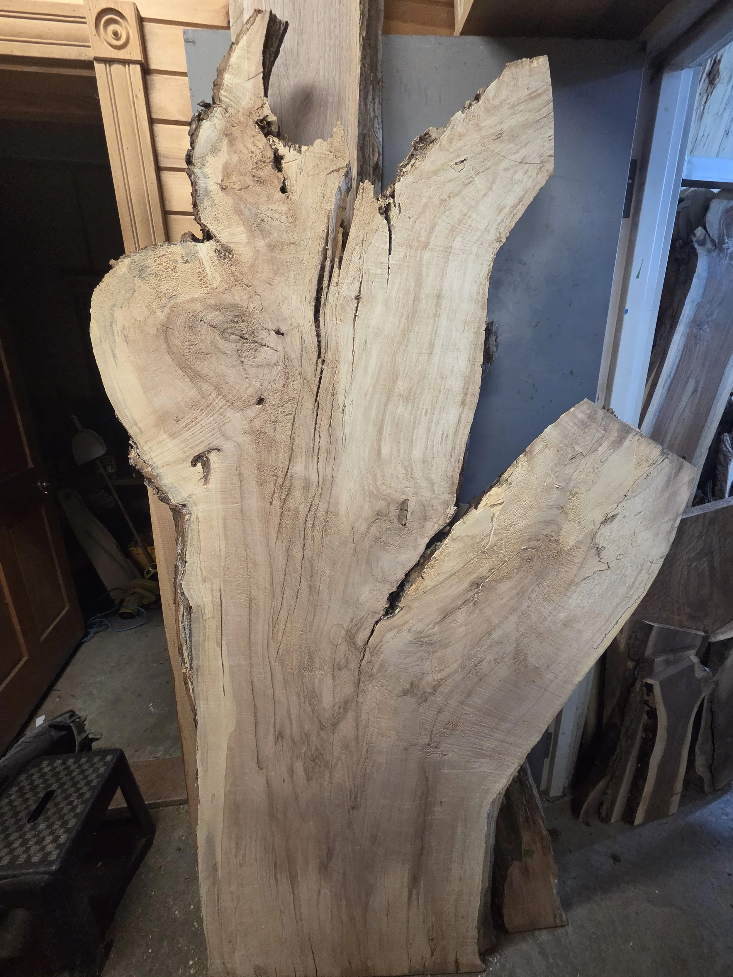 #4044 Hard Maple