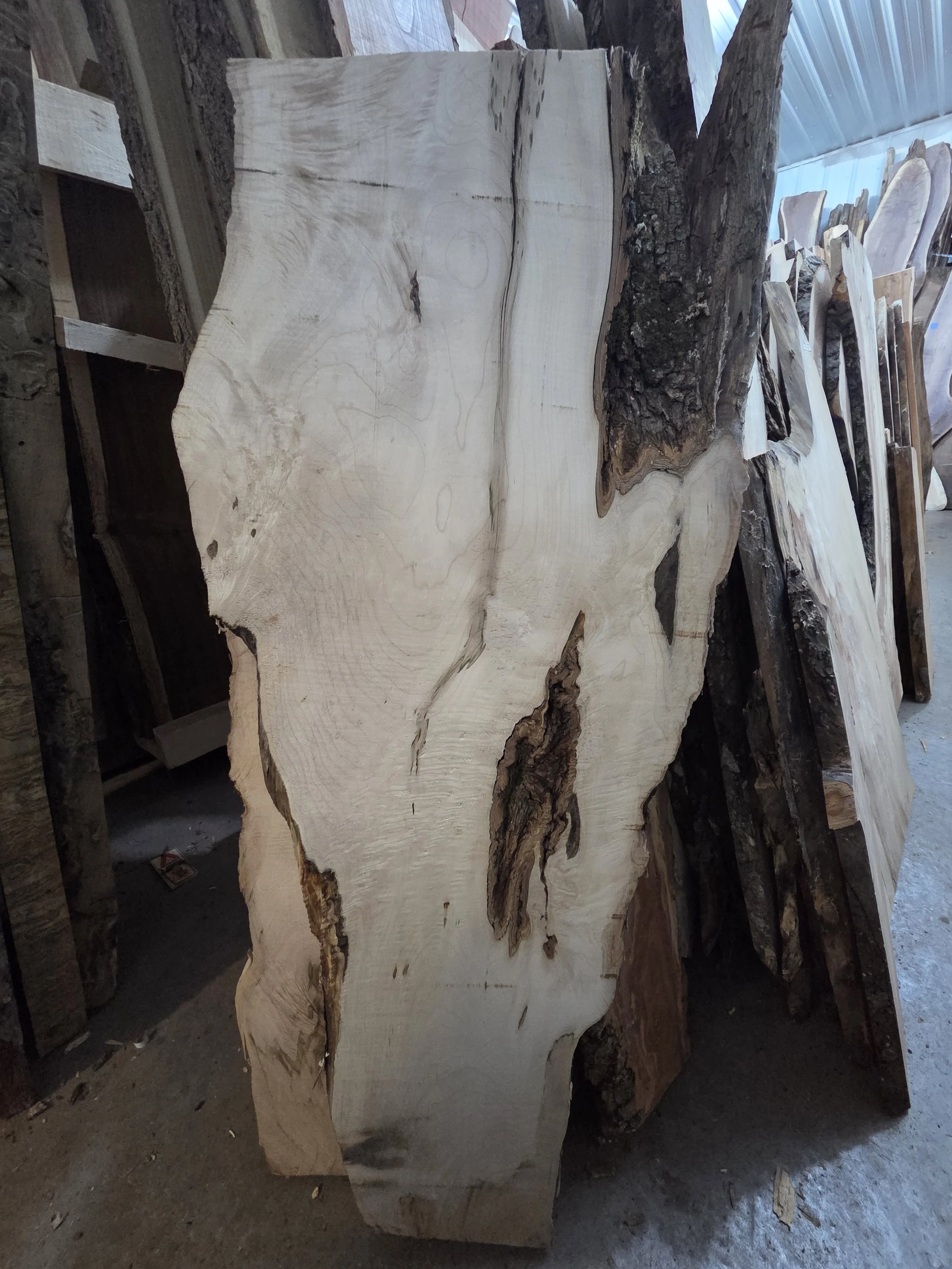 #4026 Hard Maple