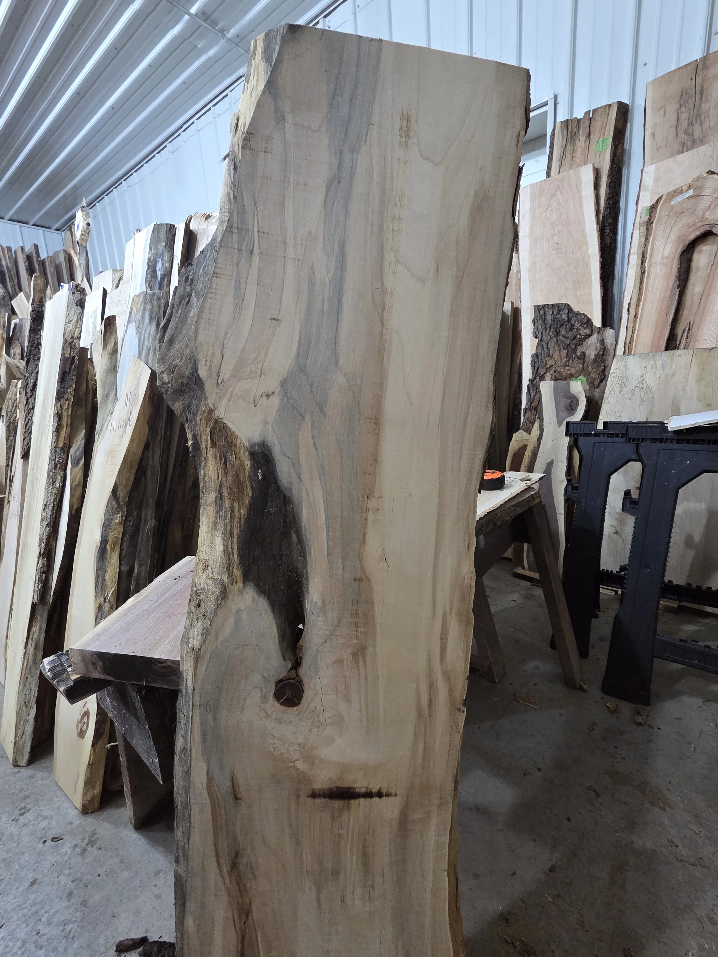 #4003 Hard Maple