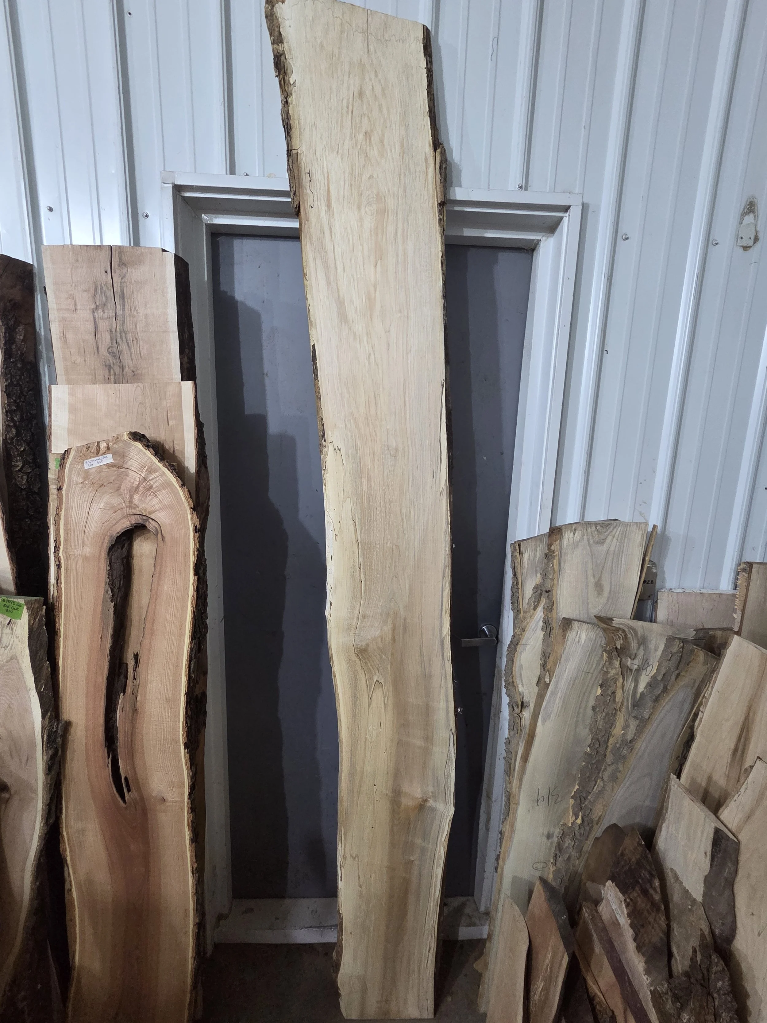 #3999 Hard Maple