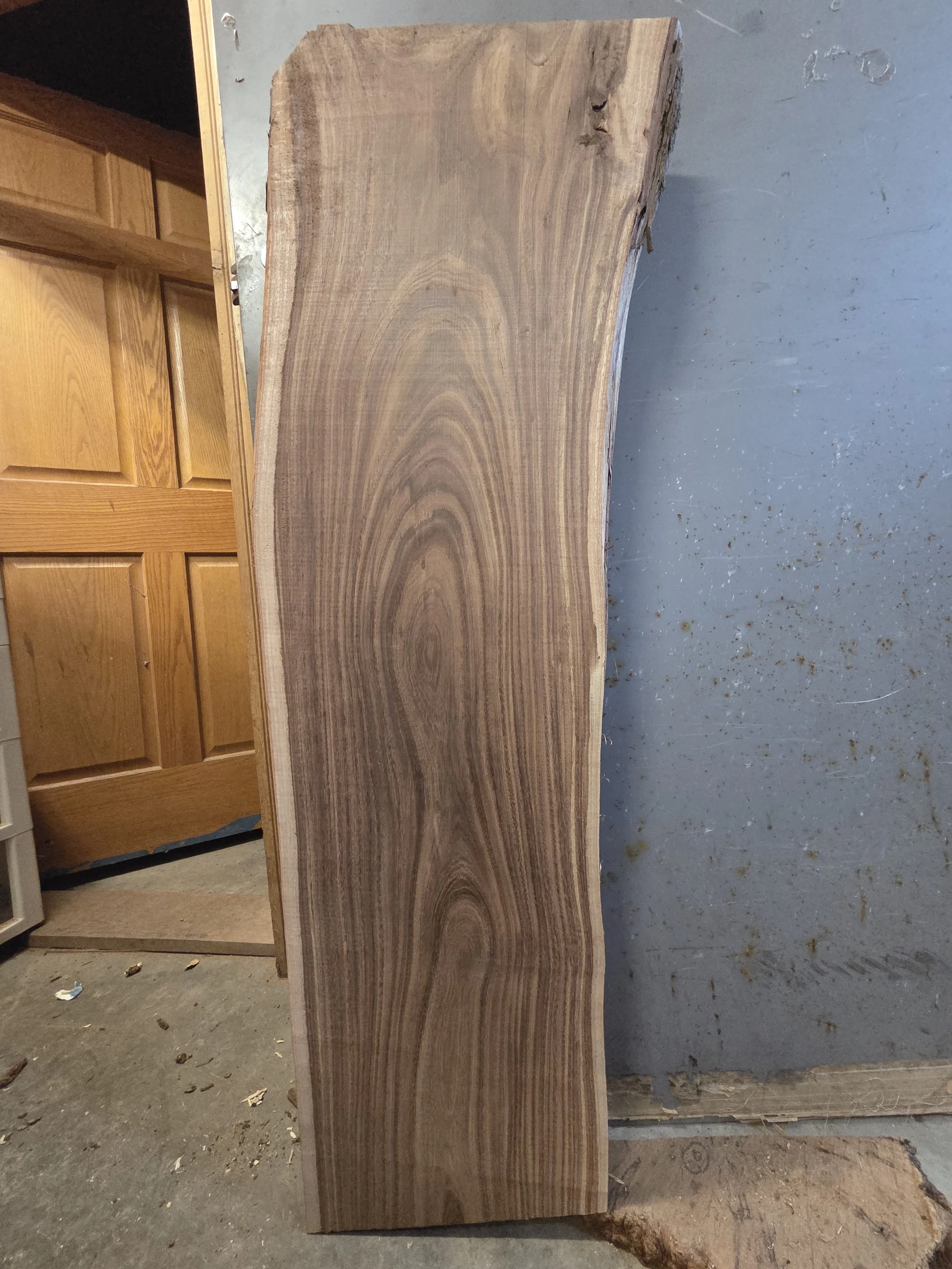 #3860 Black Acacia