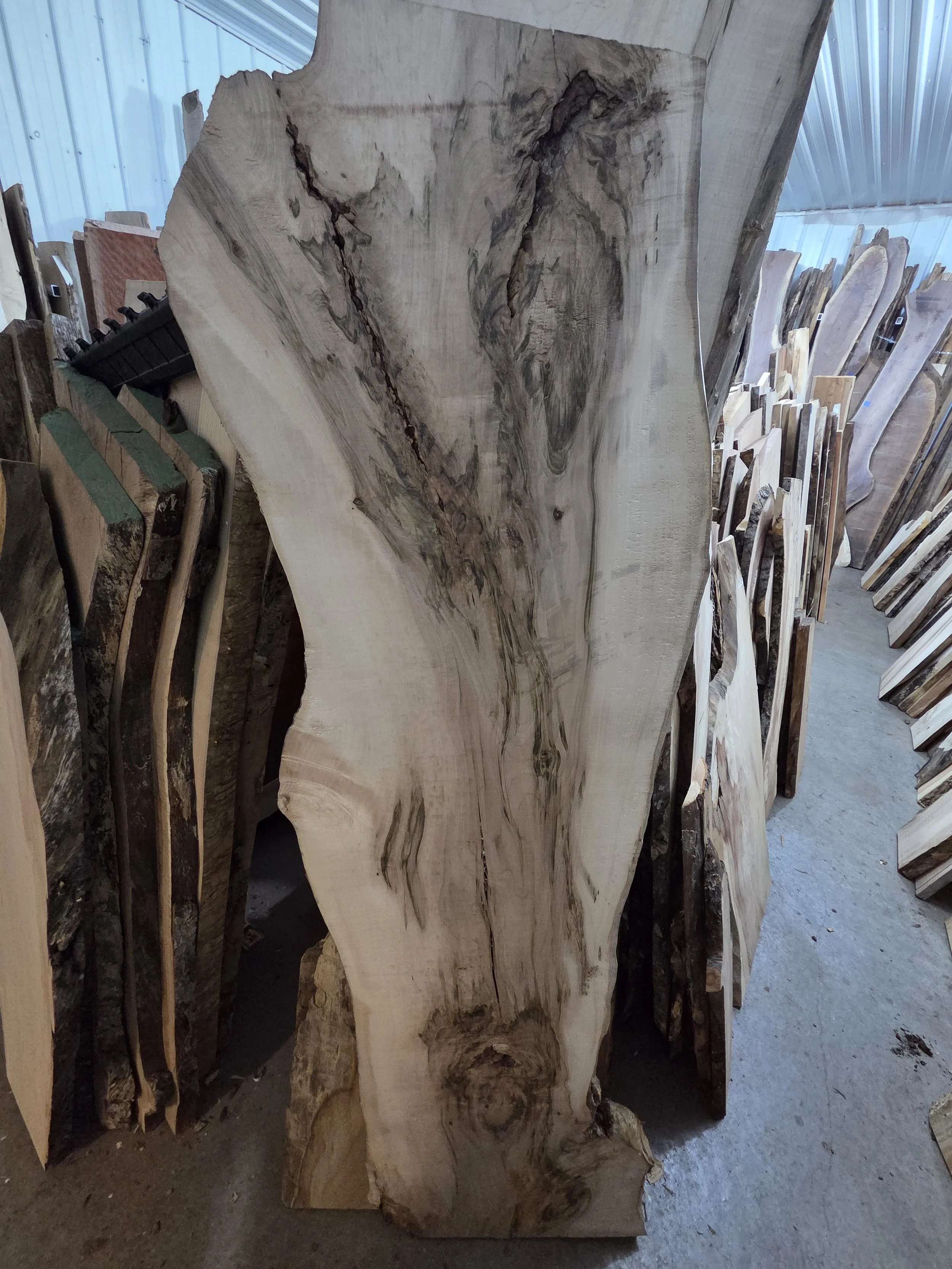#4018 Hard Maple