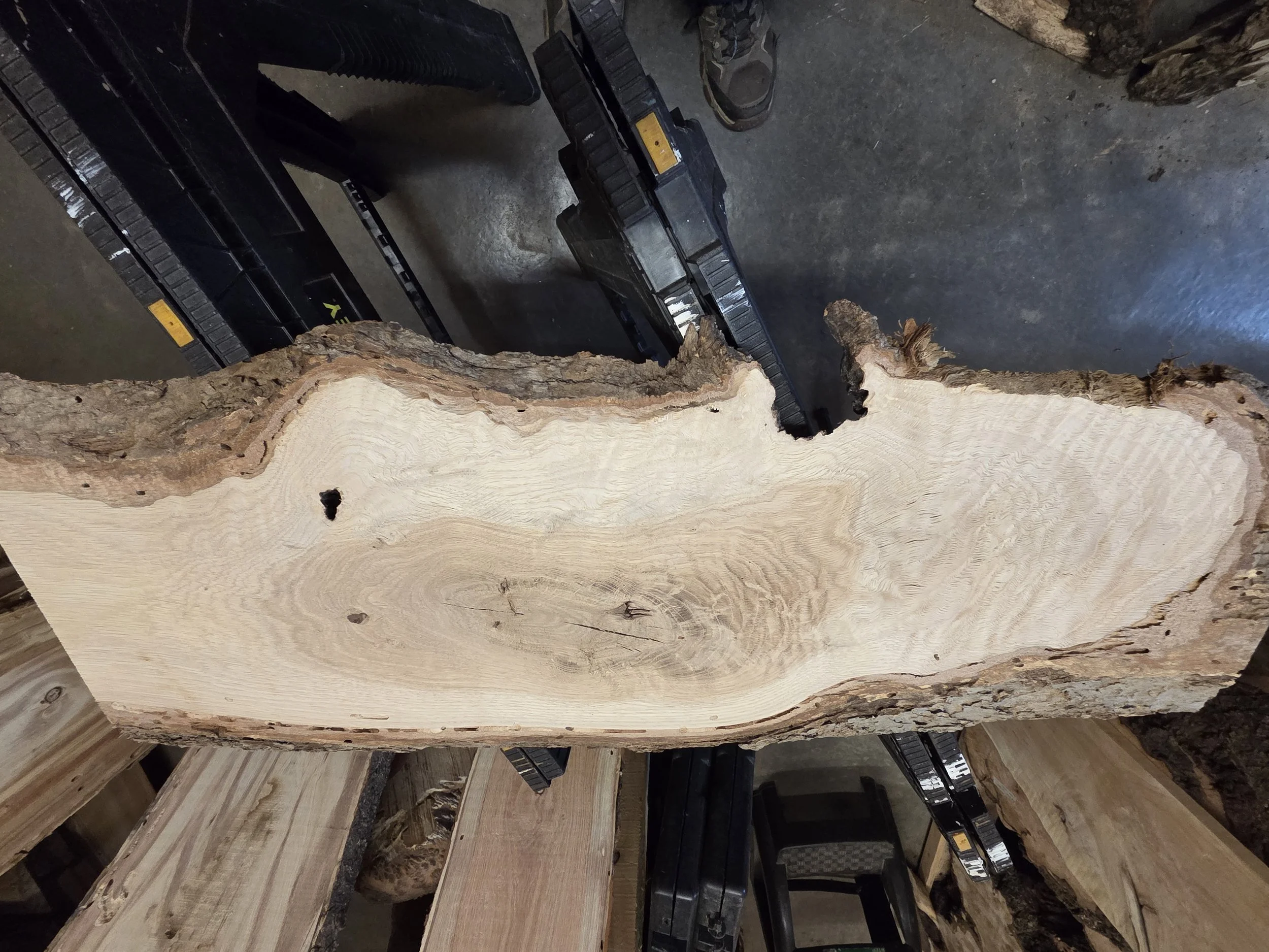 #3964 White Oak