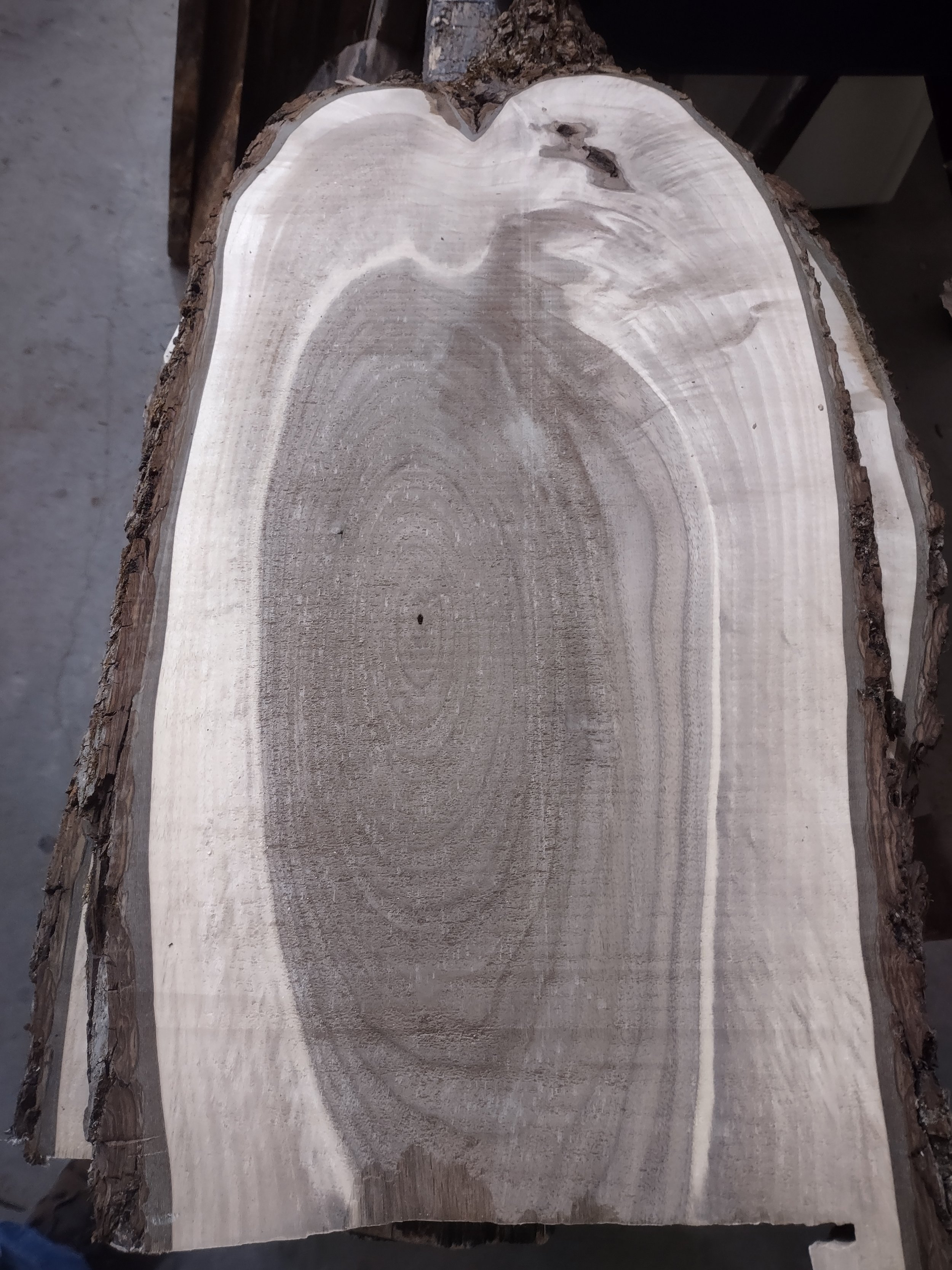 #3246 Walnut