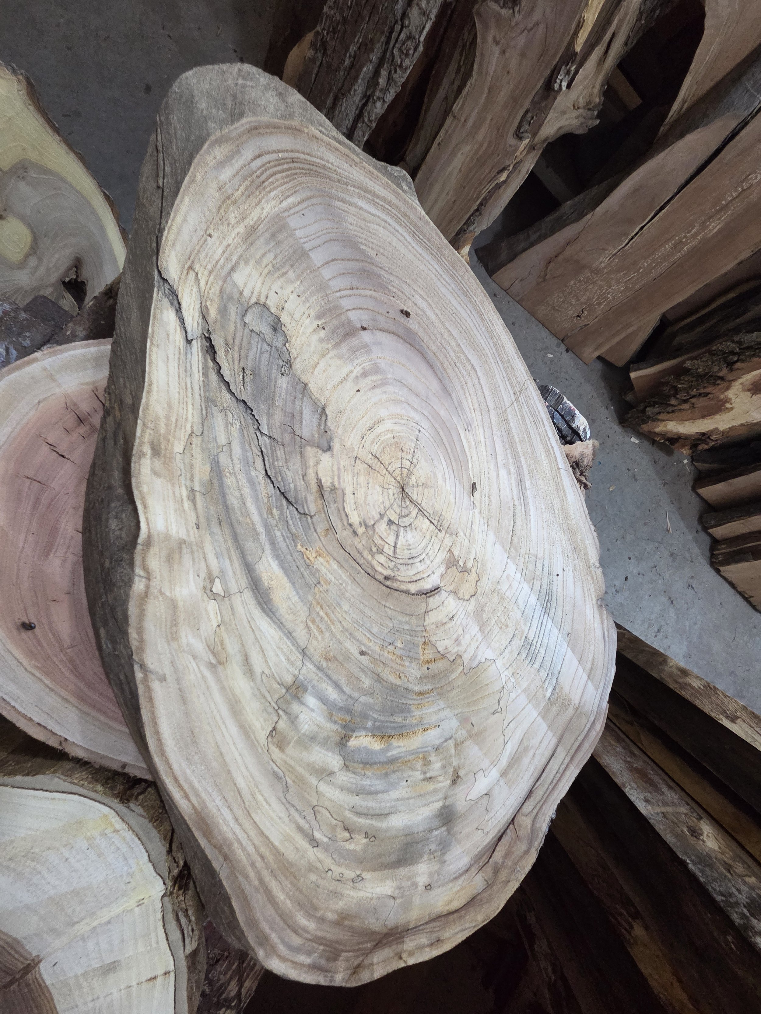 #4039 Spalted Chinese Elm