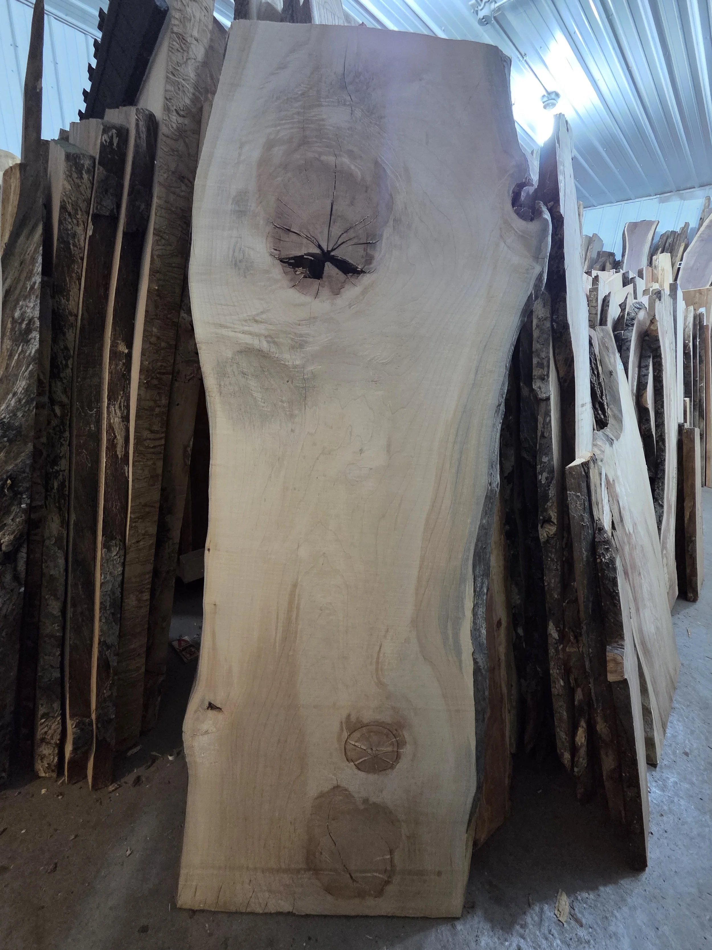 #4023 Hard Maple