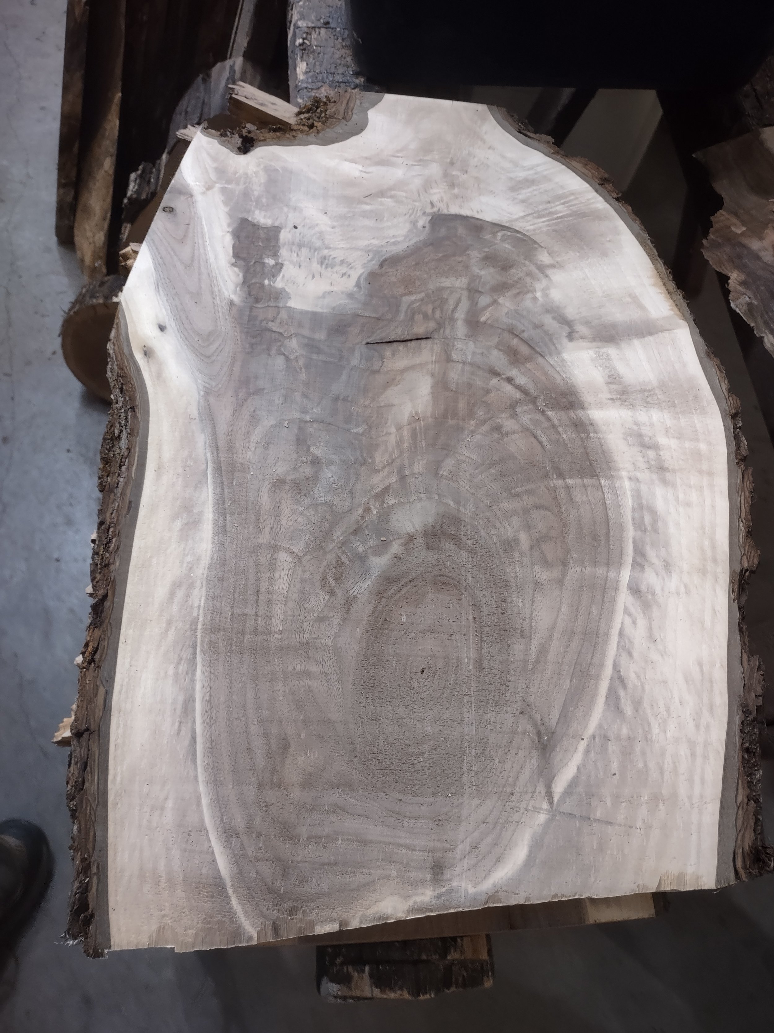 #3247 Walnut