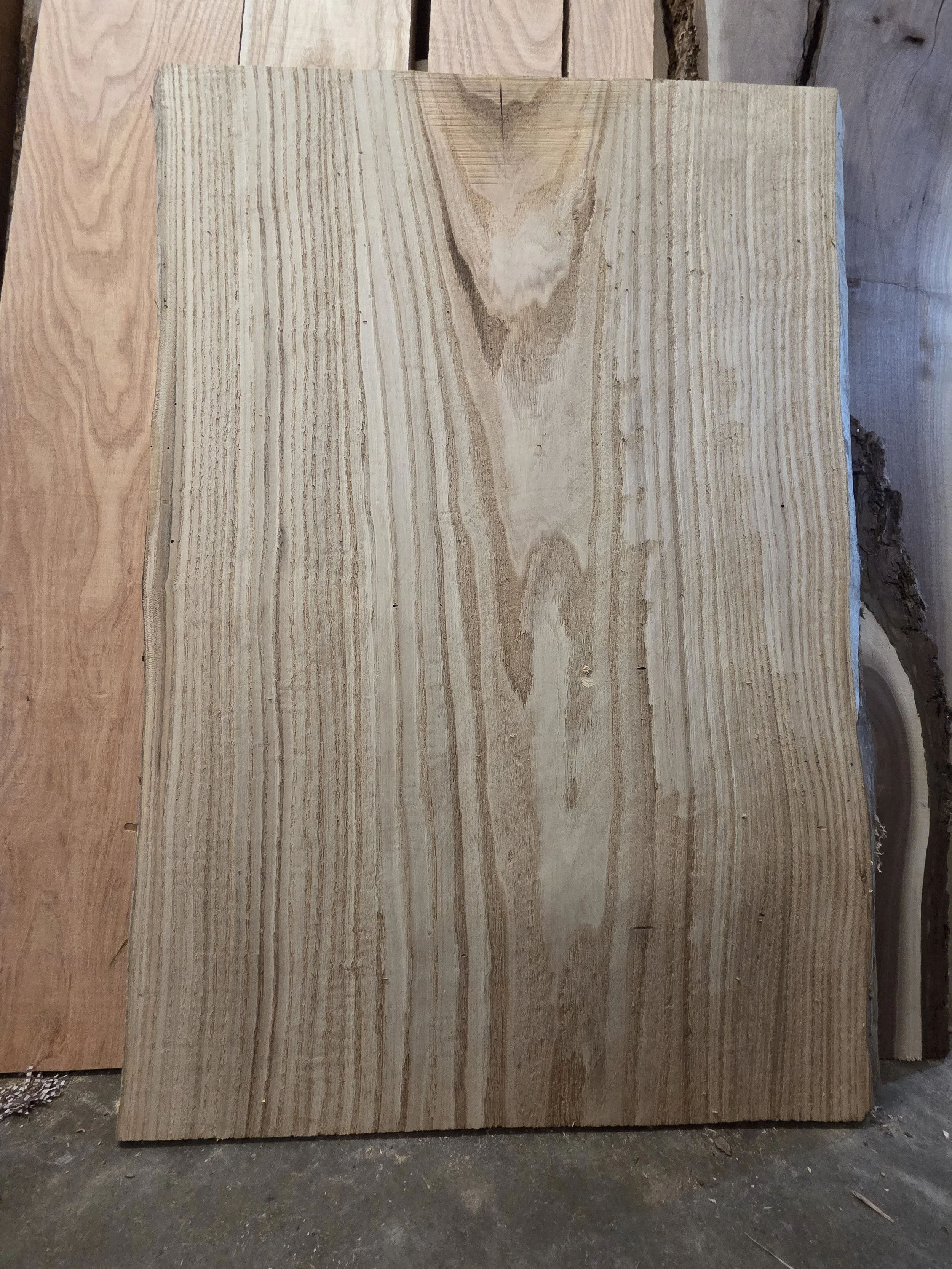 #4055 American Chestnut