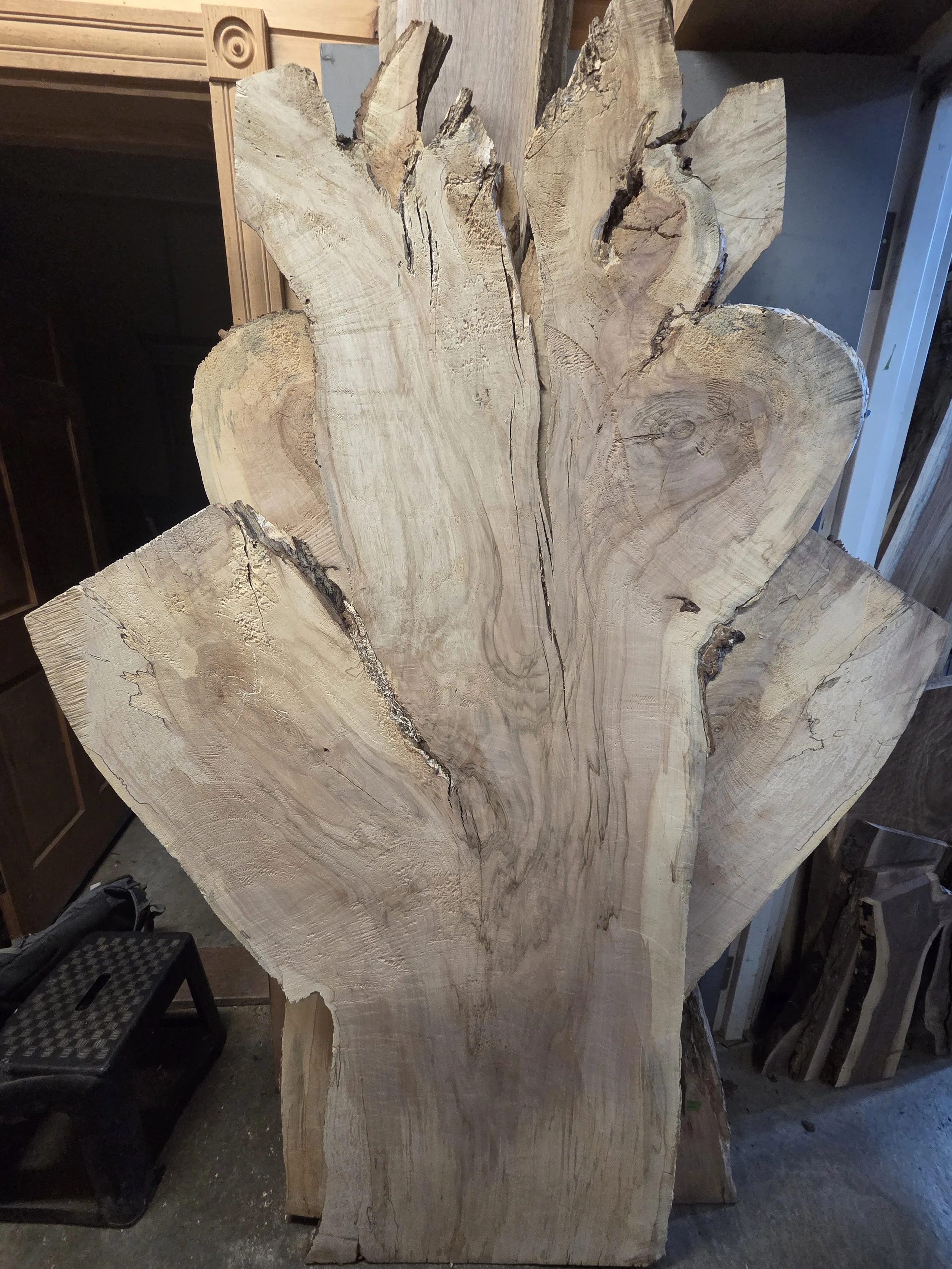 #4043 Hard Maple