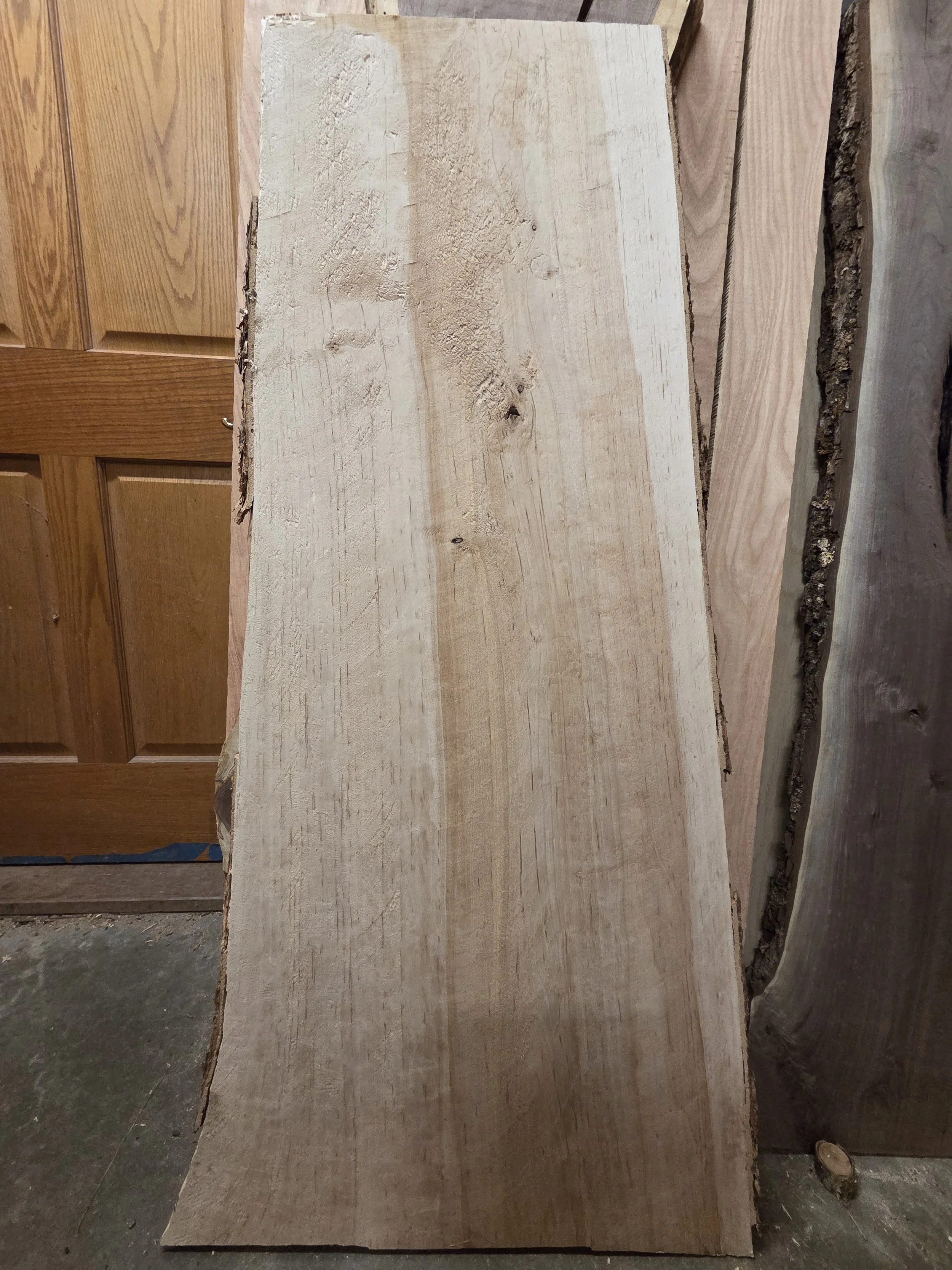#4056 Swamp Birch