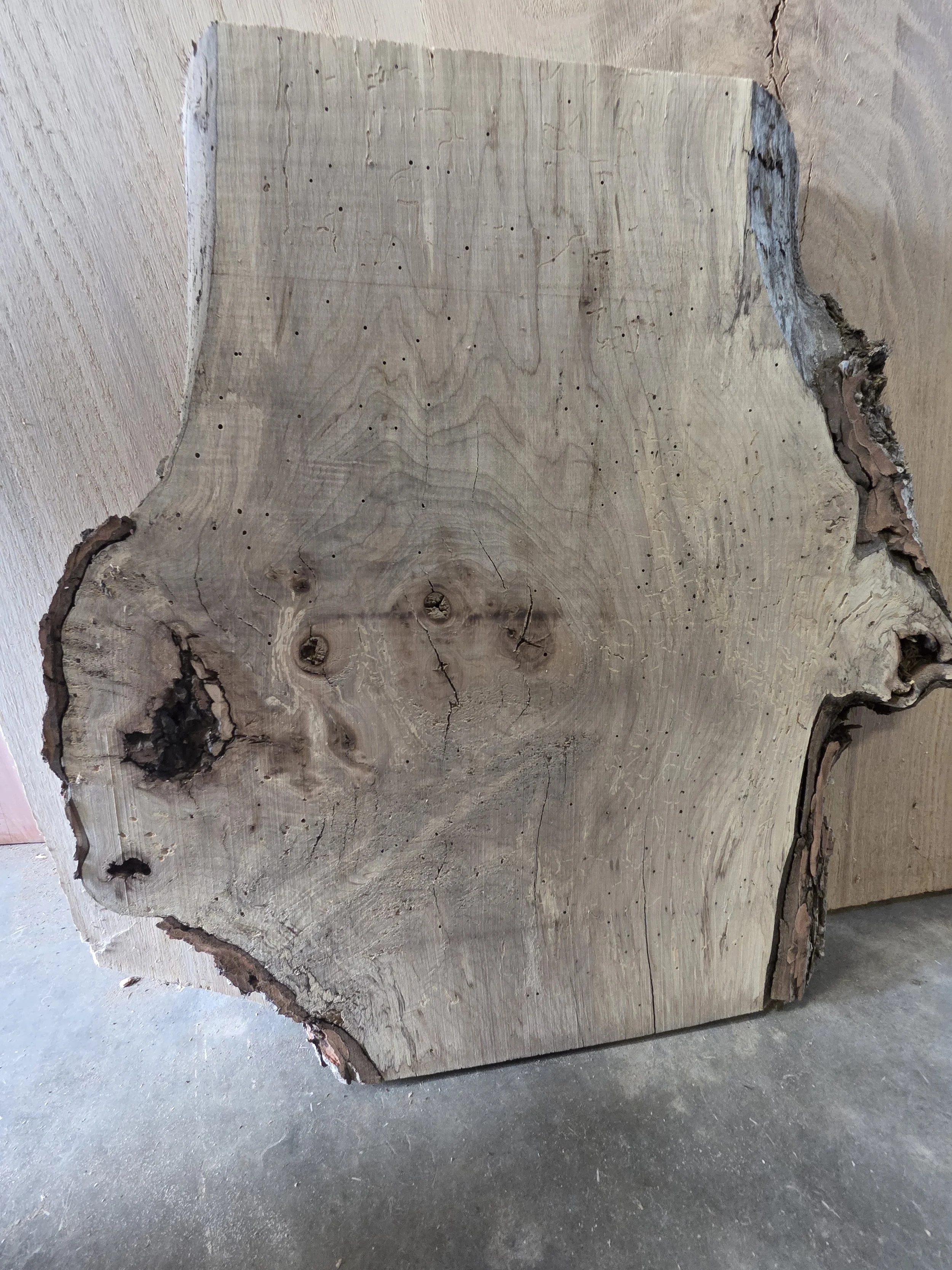 #3991 Maple Burl