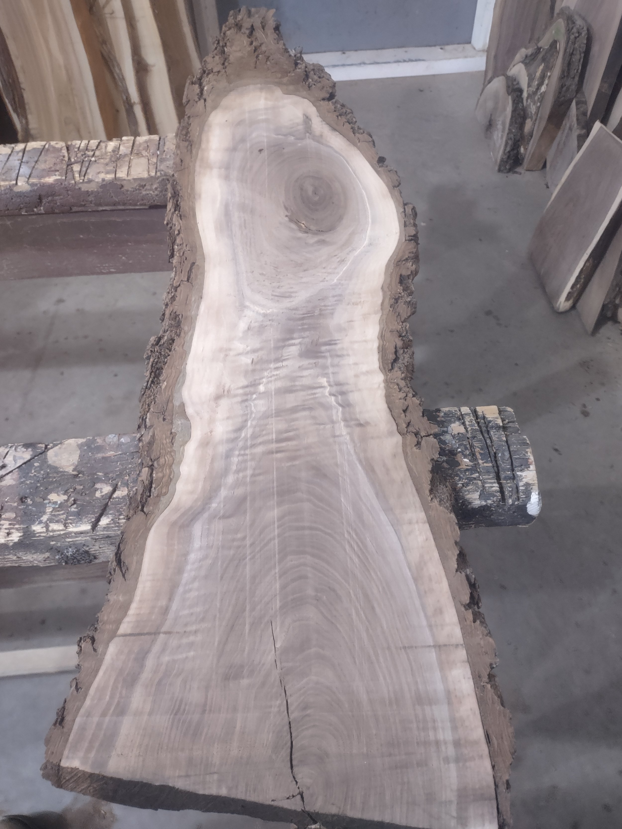#3262 Walnut