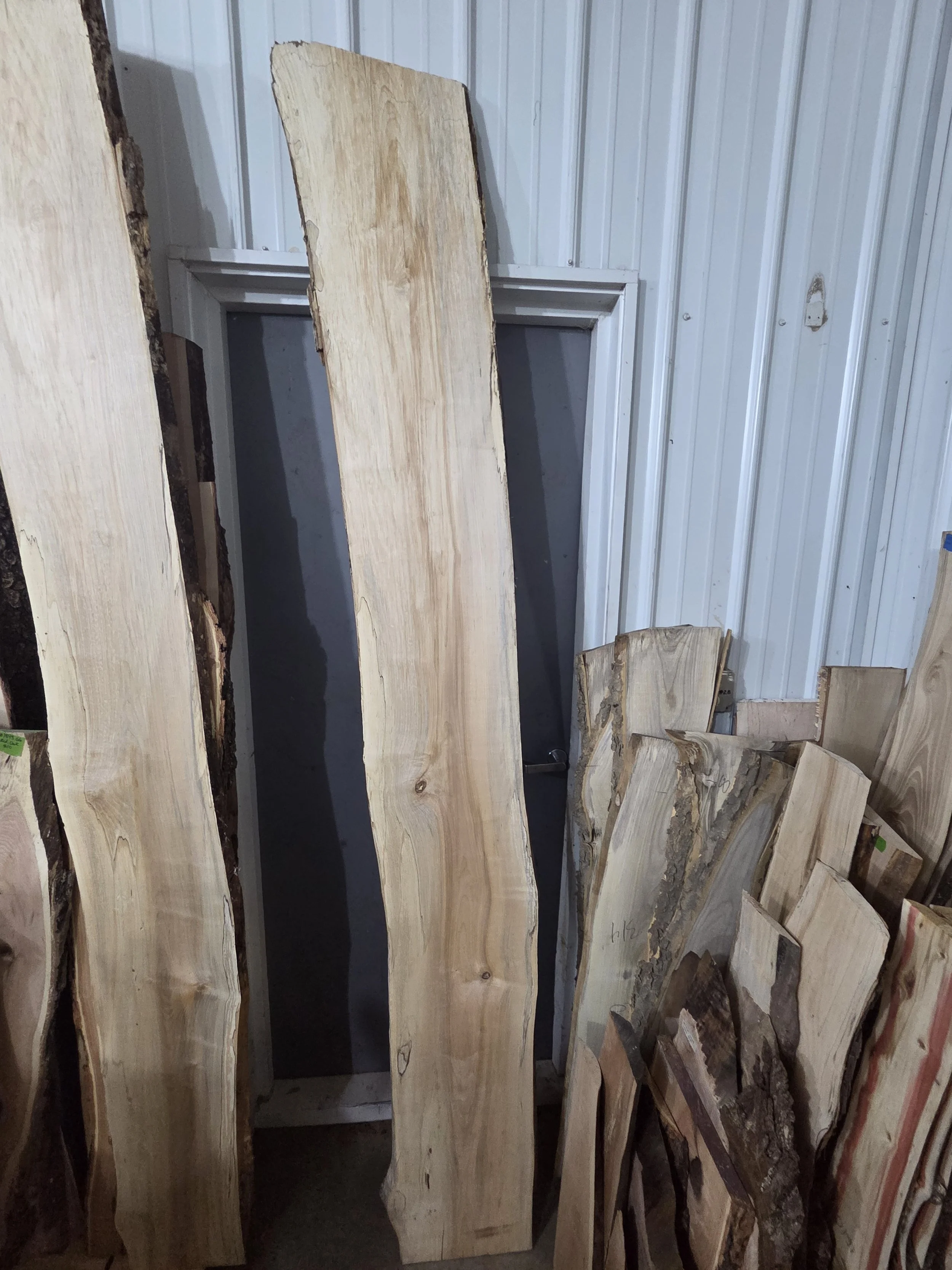 #3998 Hard Maple