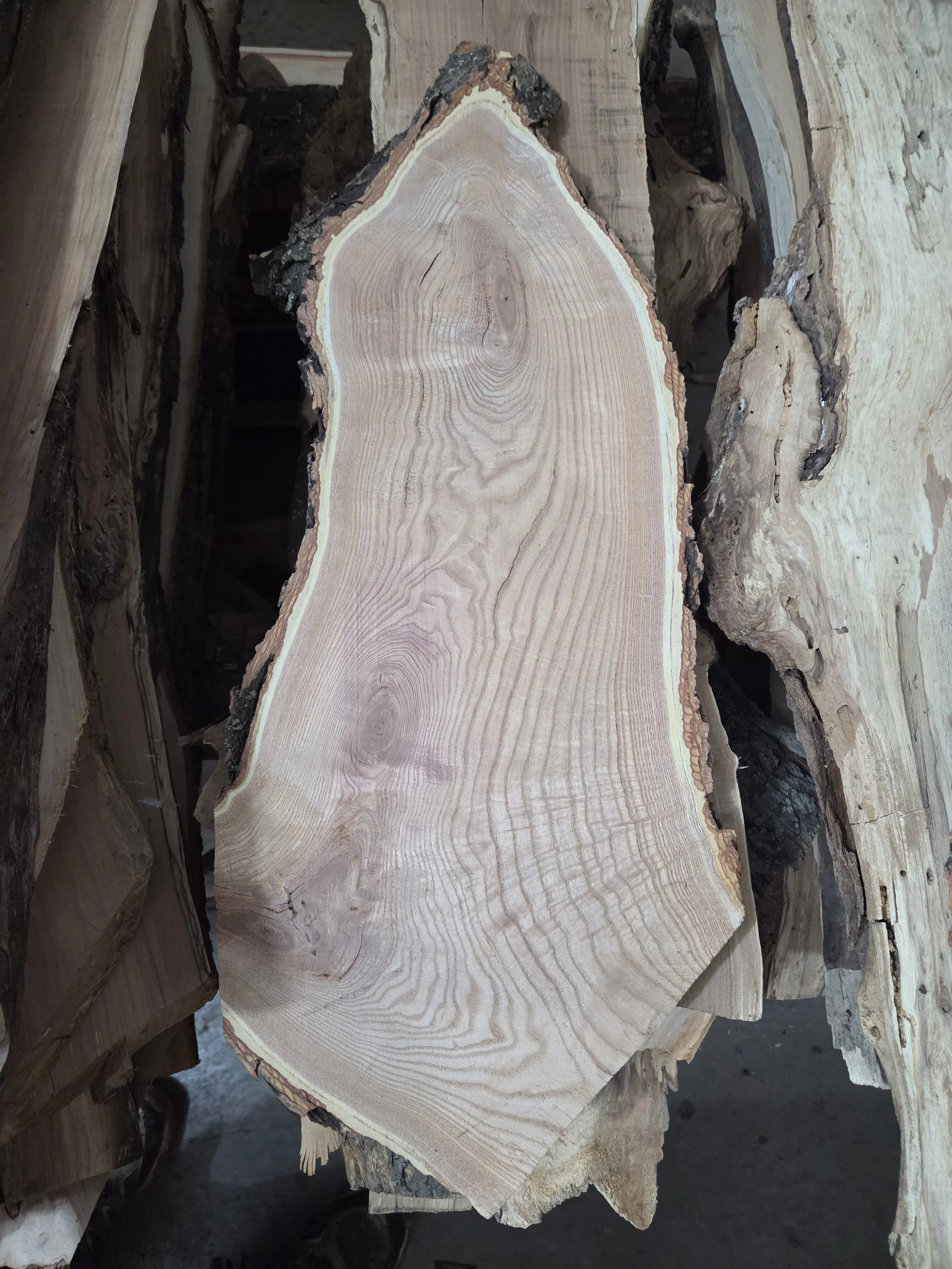 #3747 Kentucky Coffee