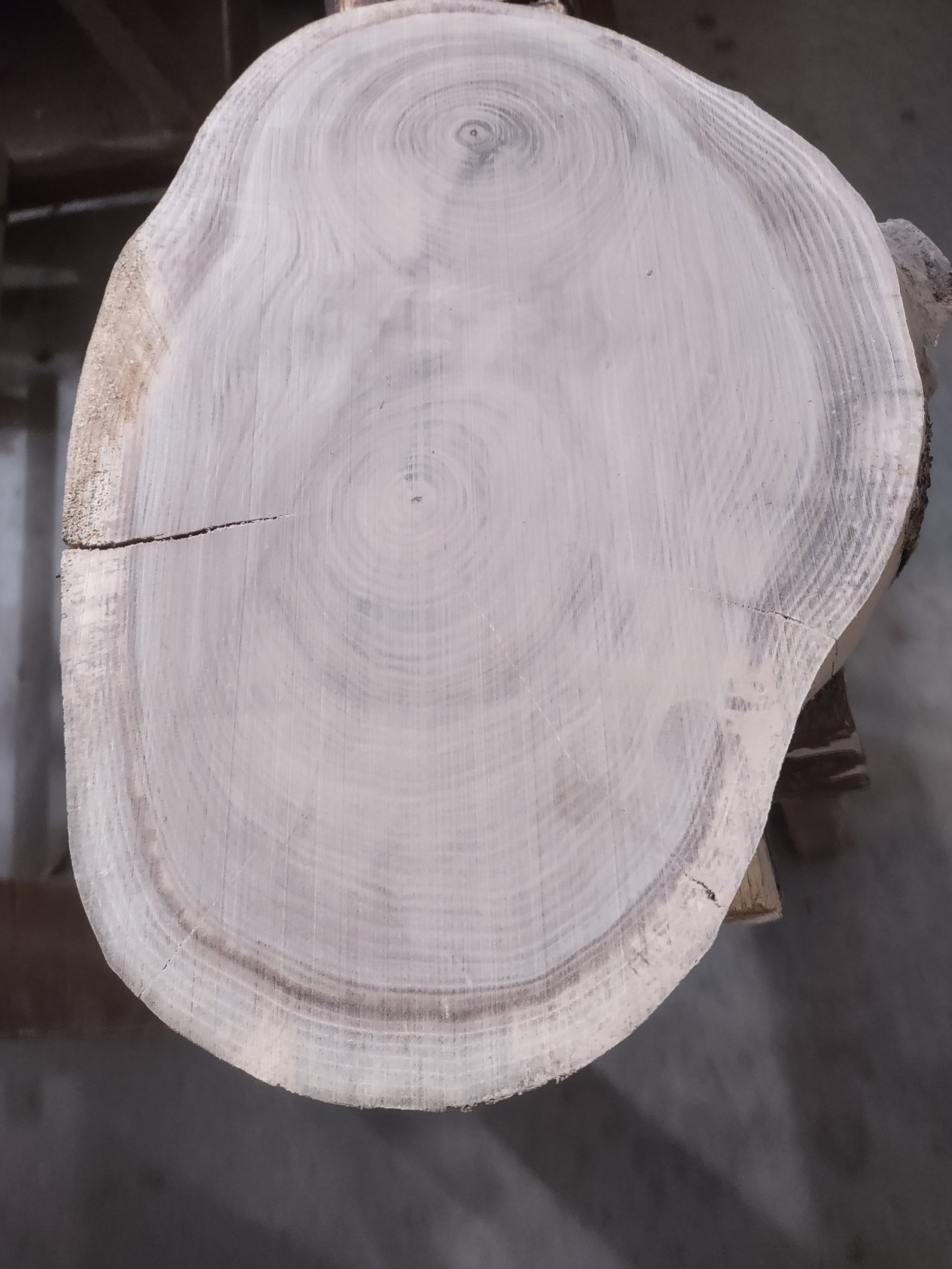 #3250 Walnut