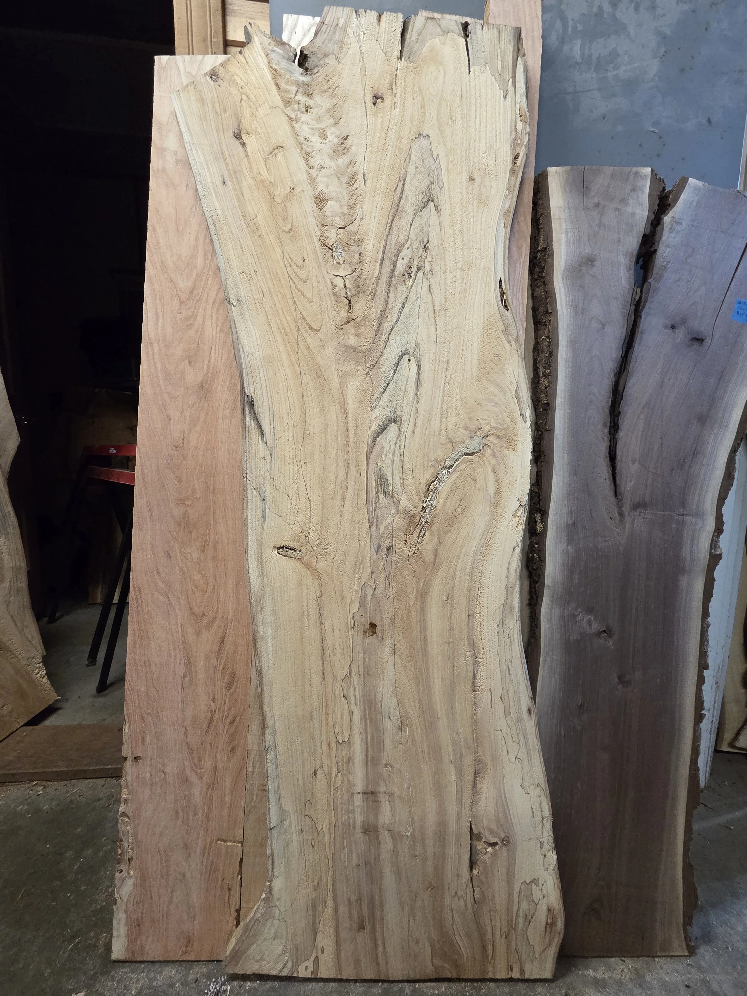 #4048 Spalted Chinese Elm