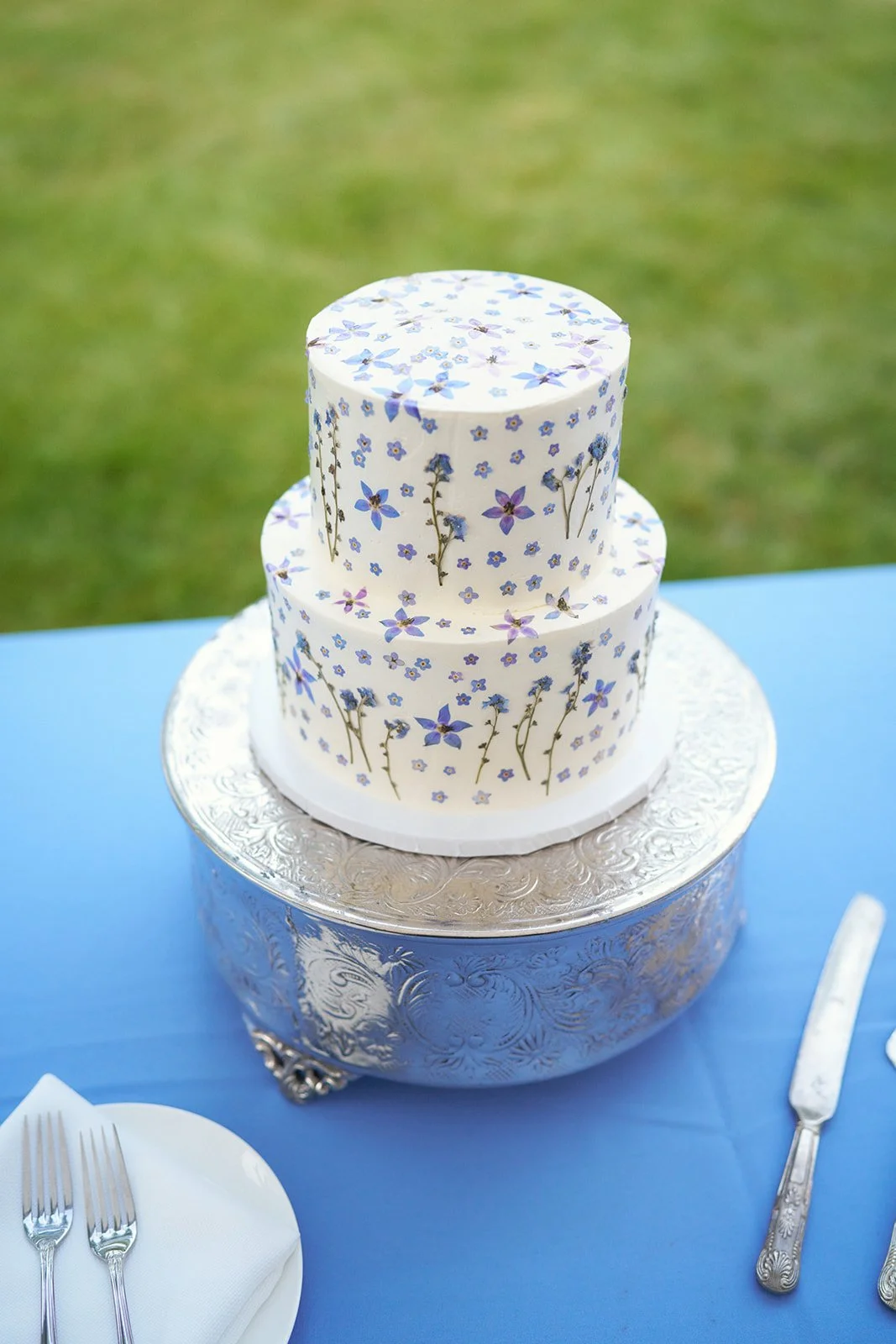 BrookeWiley_07272024_LS_Berkshires_1200_.jpg