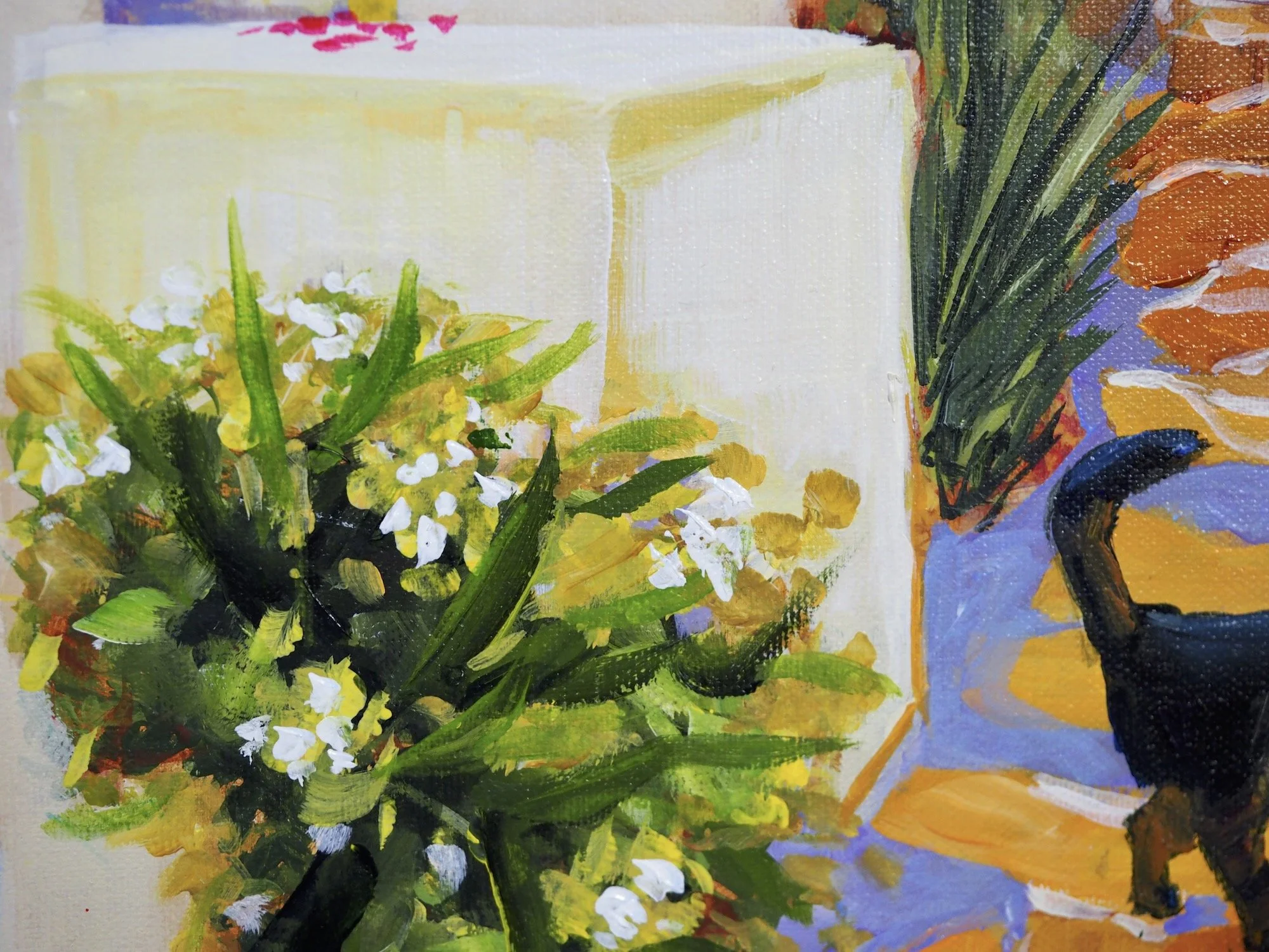 blue-door-paros-detail-garden-cat.jpeg