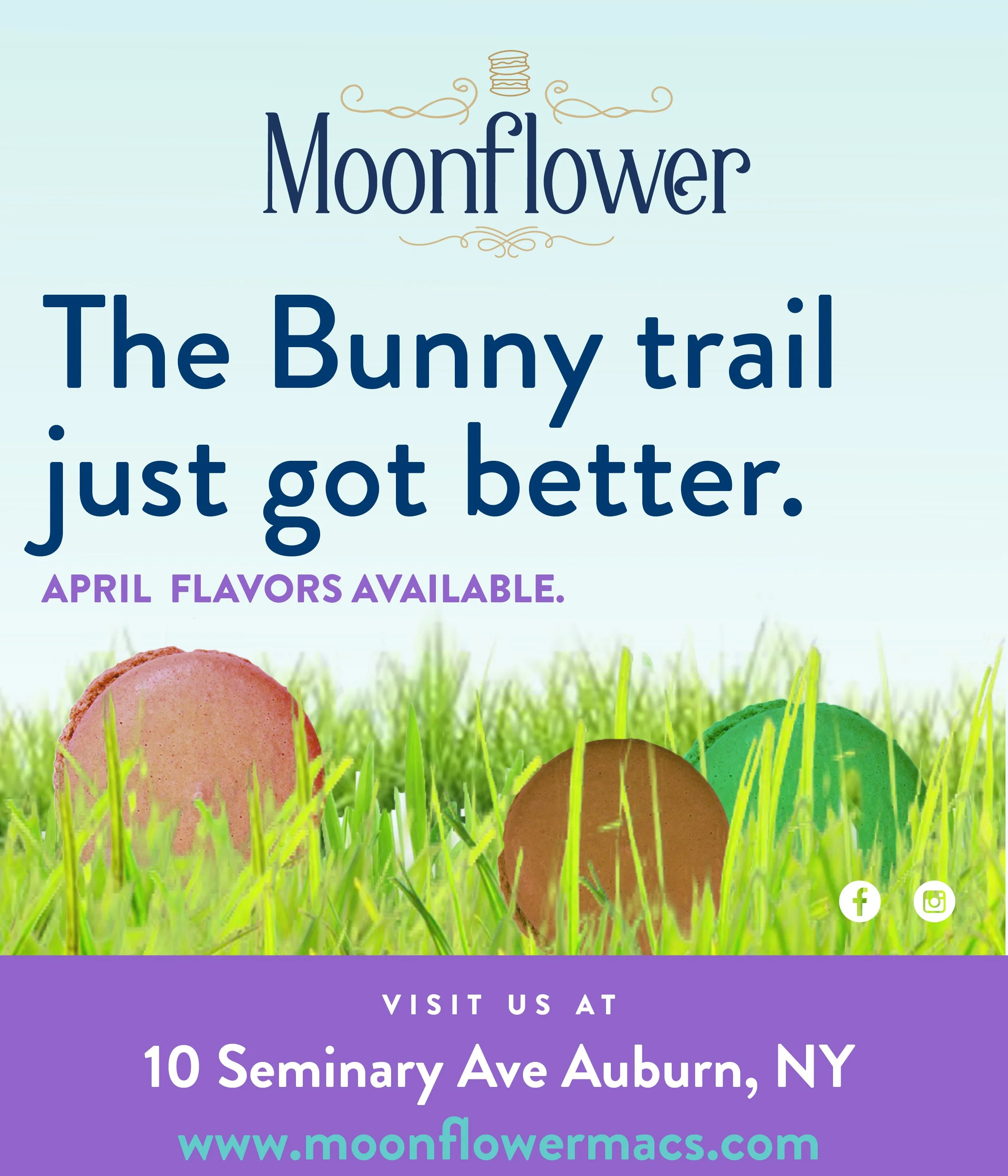 0002342_Moonflower_Apr22_Insta.jpg