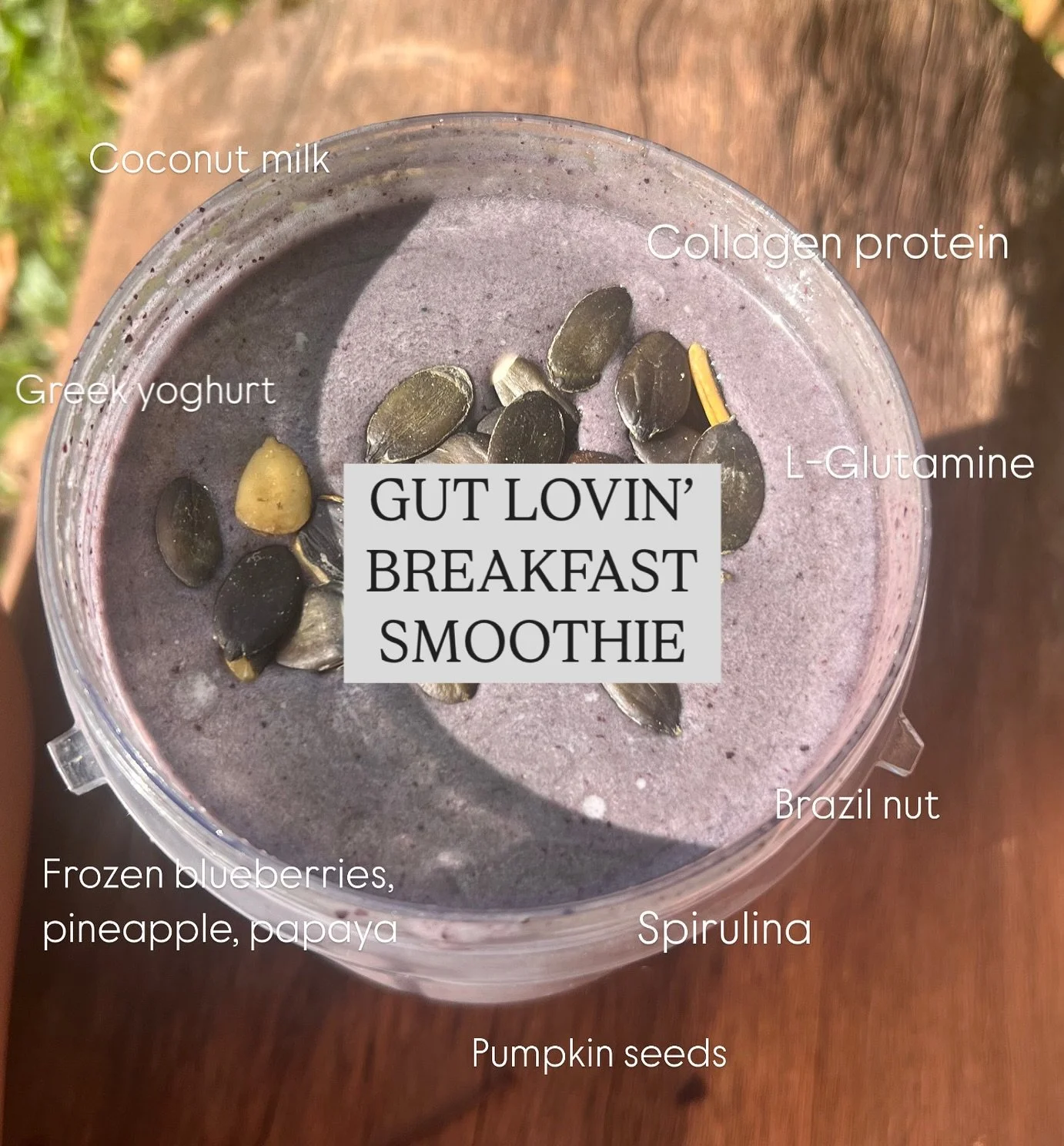 Loaded with goodies for happy guts try this delicious gut  lovin&rsquo; breakfast smoothie 👇🏽

RECIPE :::
▫️1C coconut milk
▫️1C frozen (organic) blueberries 
▫️1 small chunk of (frozen or fresh) pineapple 
▫️1/2C (fresh or frozen) papaya 
▫️2 scoo