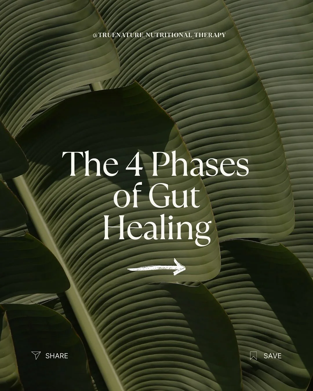 As a nutritional therapy practitioner guiding clients to include more properly prepared nutrient dense whole foods into their diet while supporting gut health is at the cornerstone of my work.

However when looking at foods through a therapeutic lens