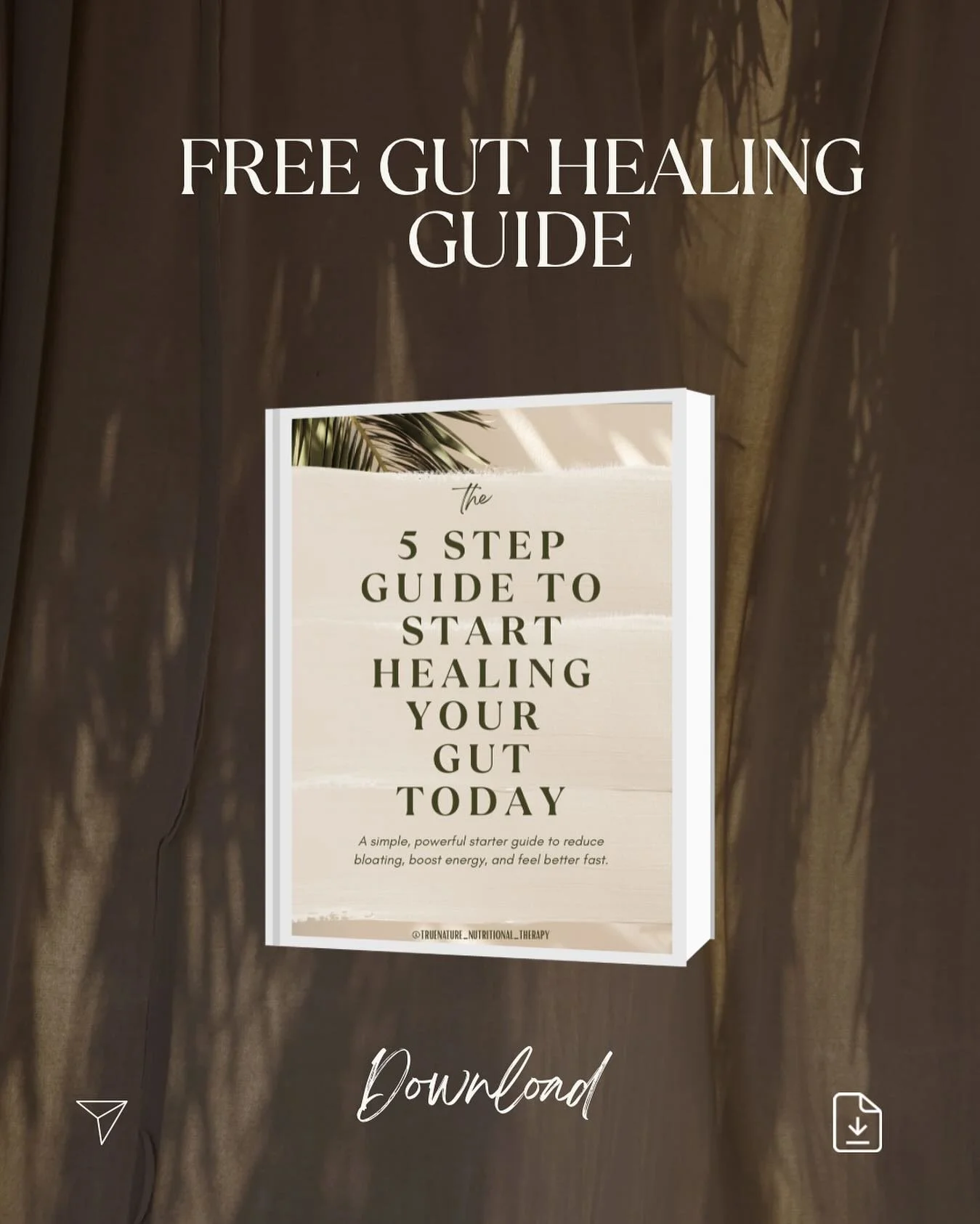 As a functional nutritionist good gut health is at the core of the work I do with clients.
Whether it is autoimmune issues, allergies, food intolerances, skin issues, mental clarity and focus, or hormone balancing. Good health begins in the gut!

We 