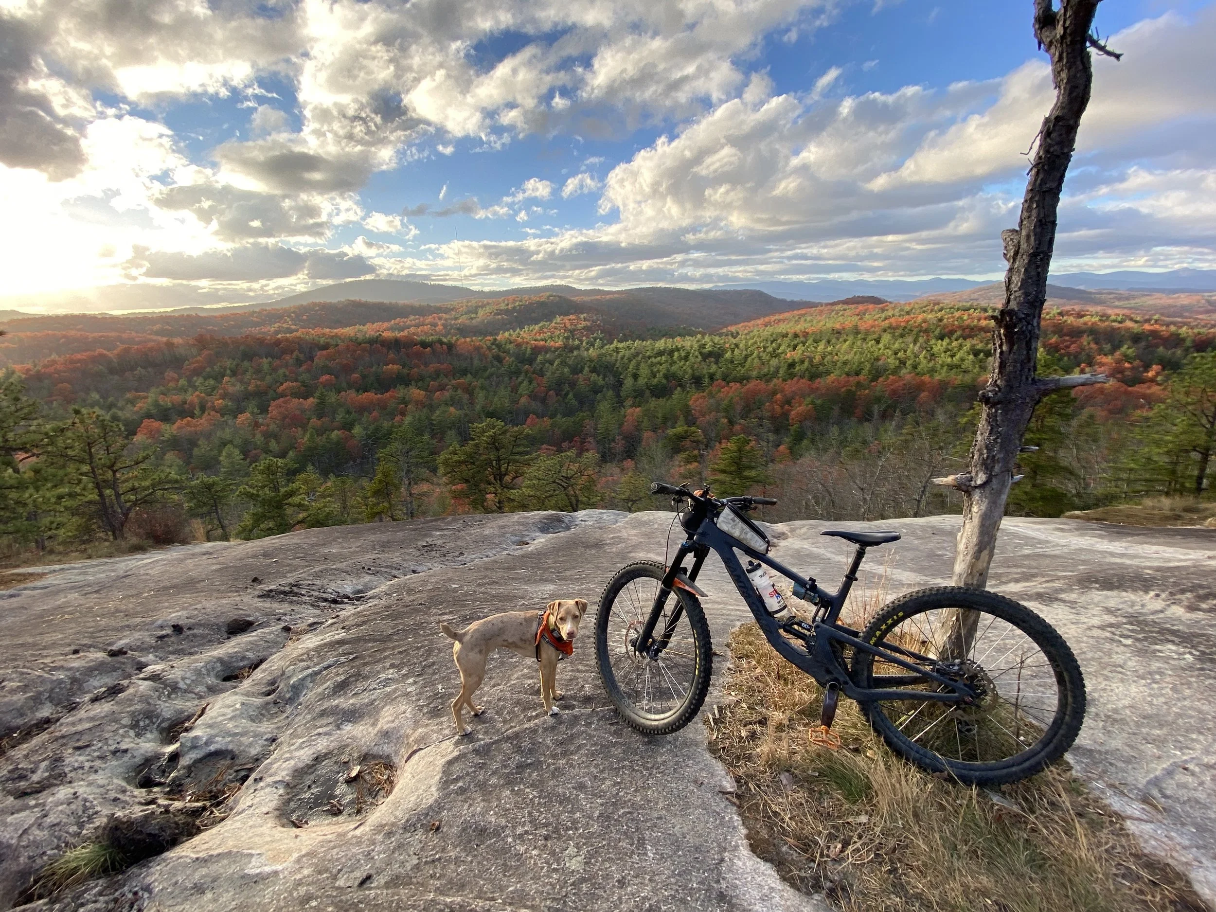 Guides / Outfitters — Gareth Tate Rentals