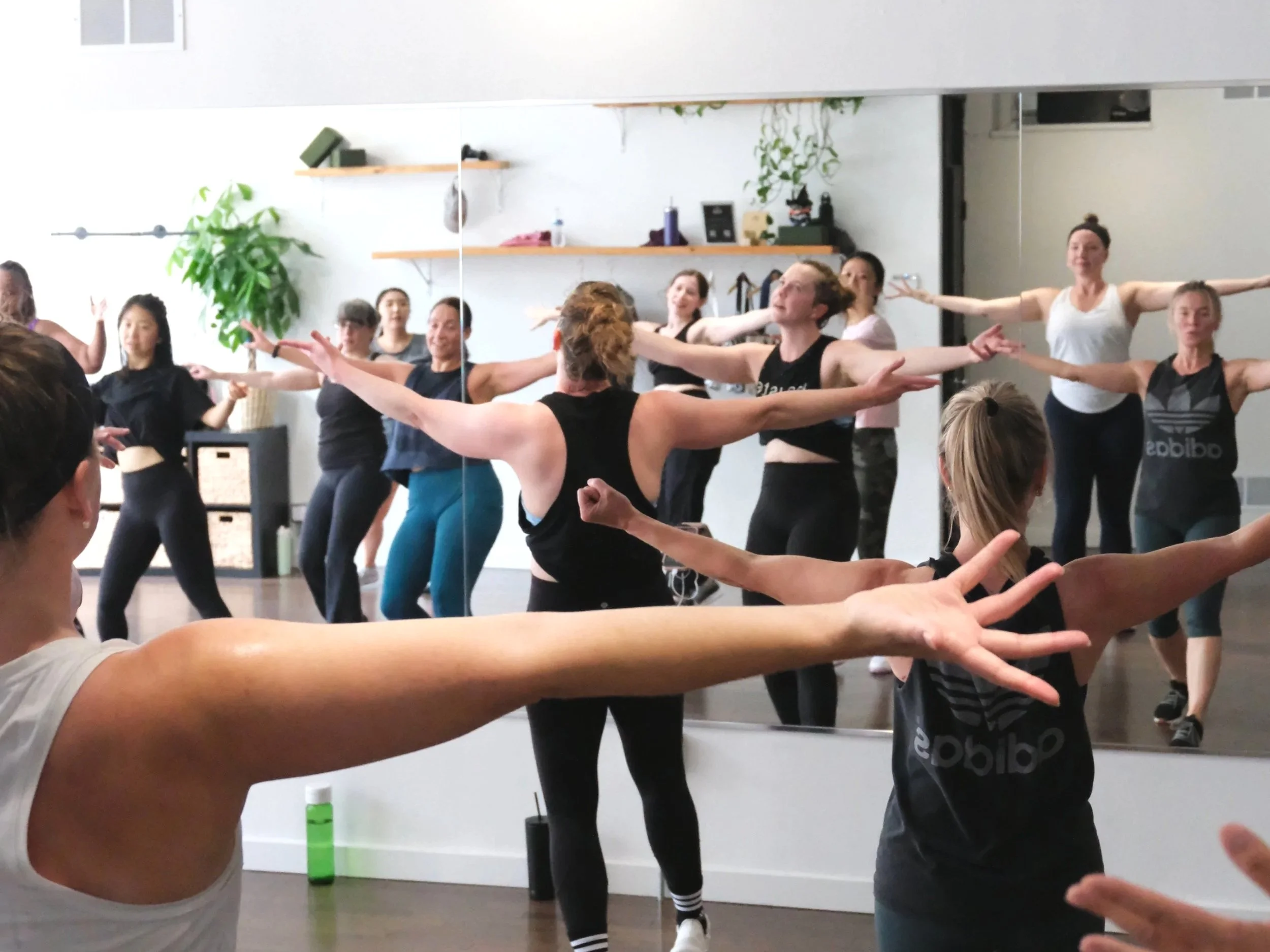 Wear|haus Fitness