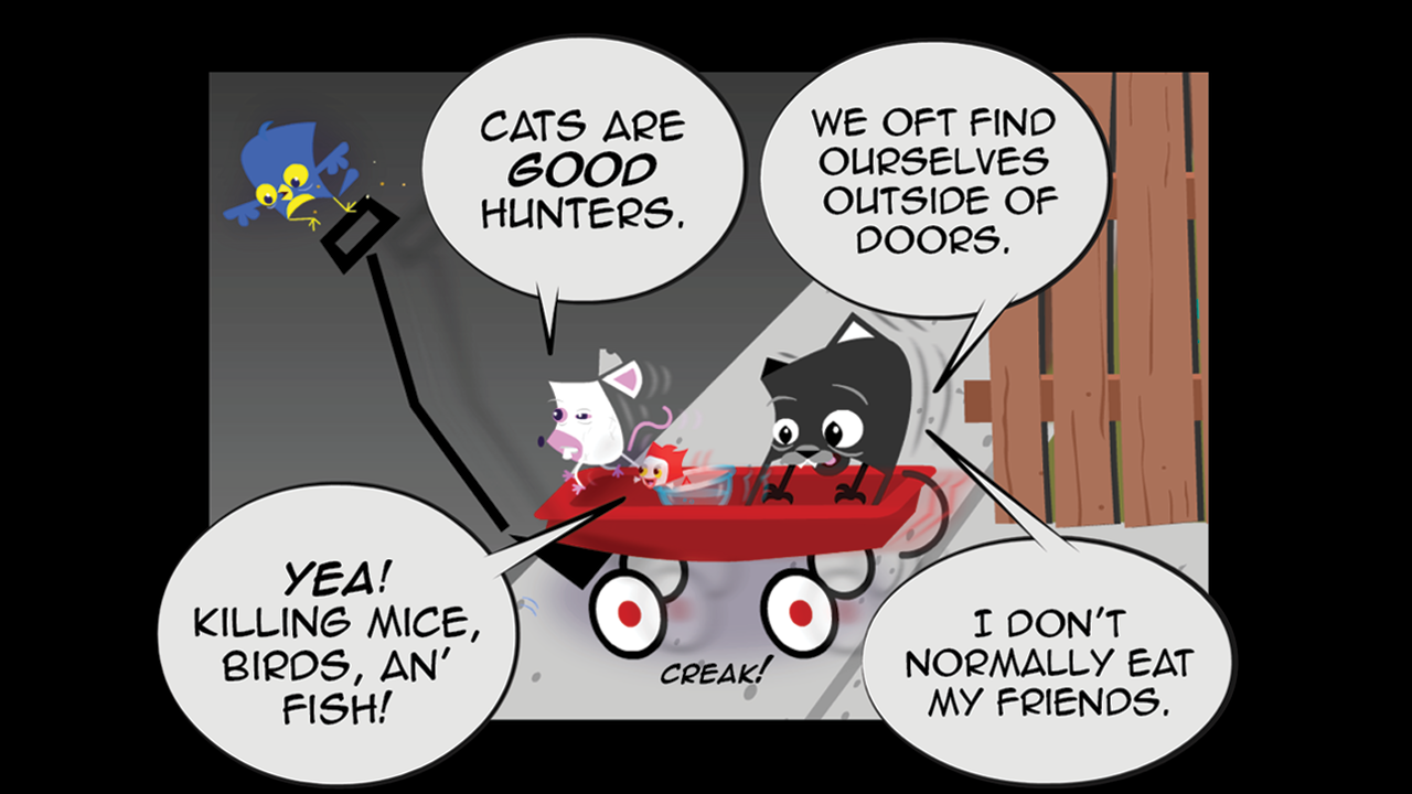 HC_PG095_P11.png