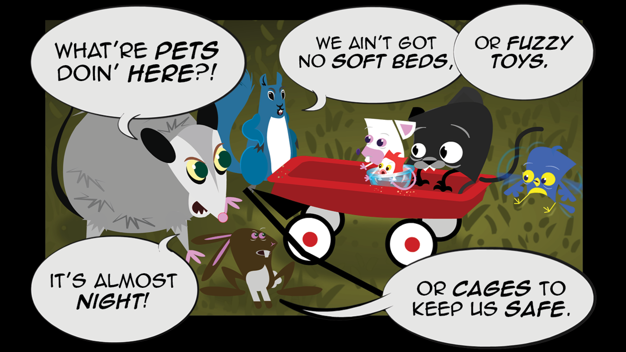 HC_PG100_P11.png