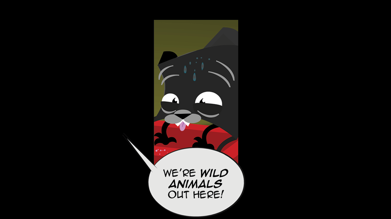 HC_PG100_P14.png