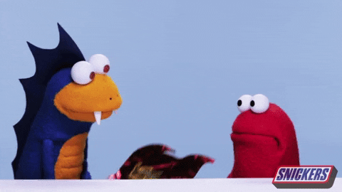 giphy+(1).gif