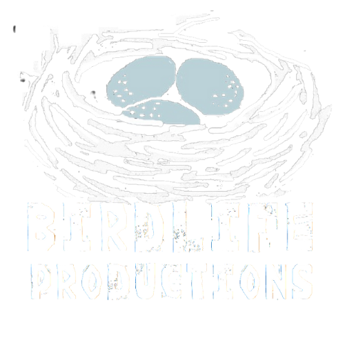 Birdlife Productions theatre for children