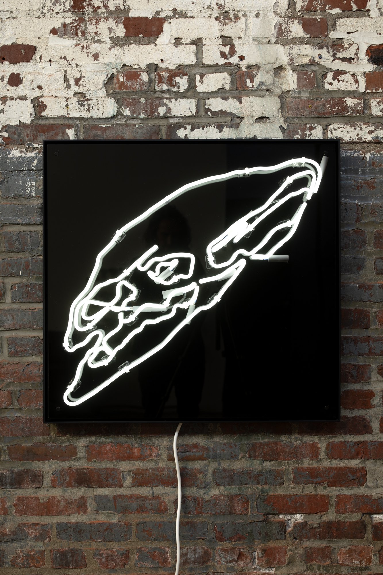 Skull1.jpg