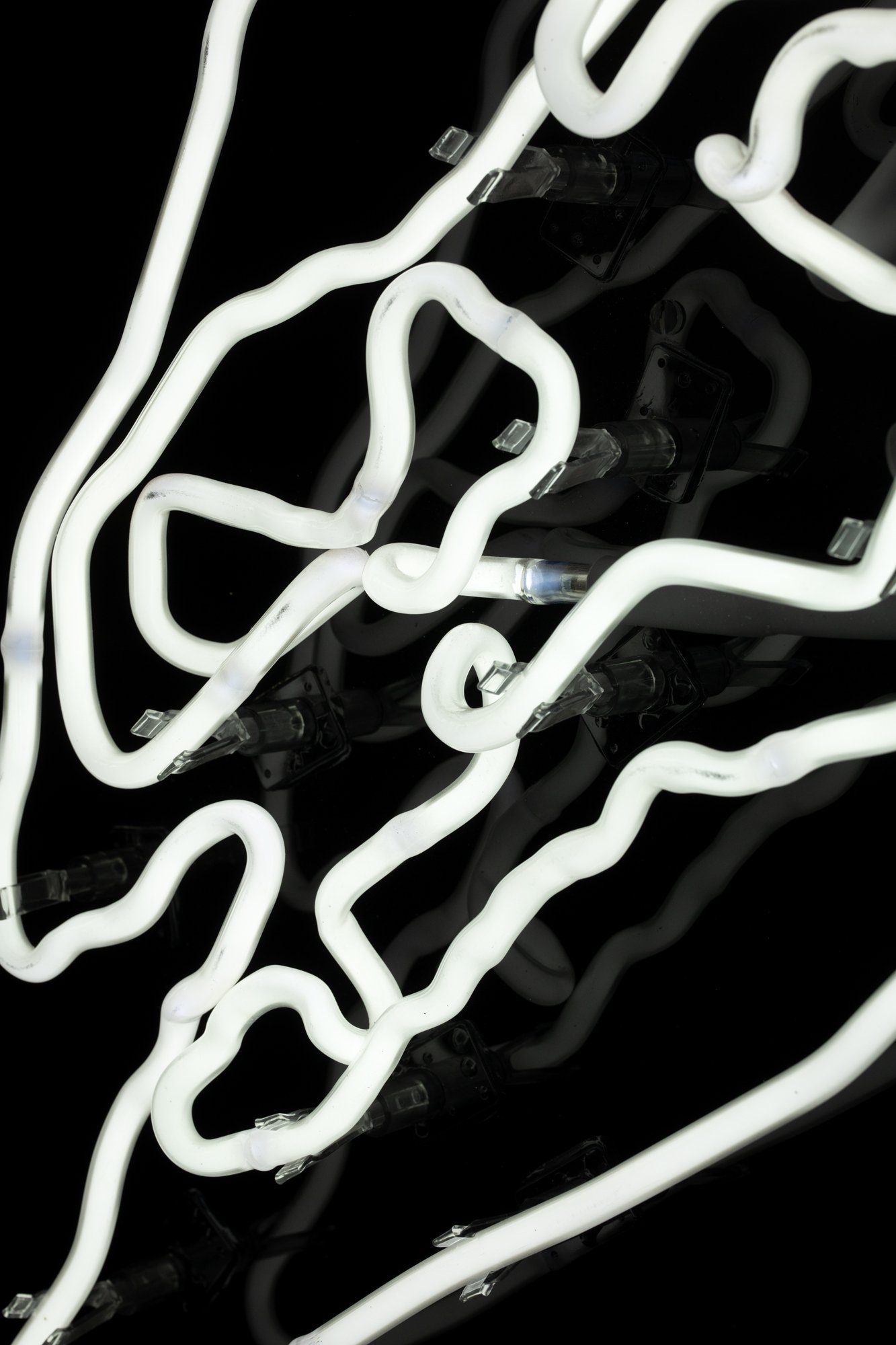 Skull18.jpg