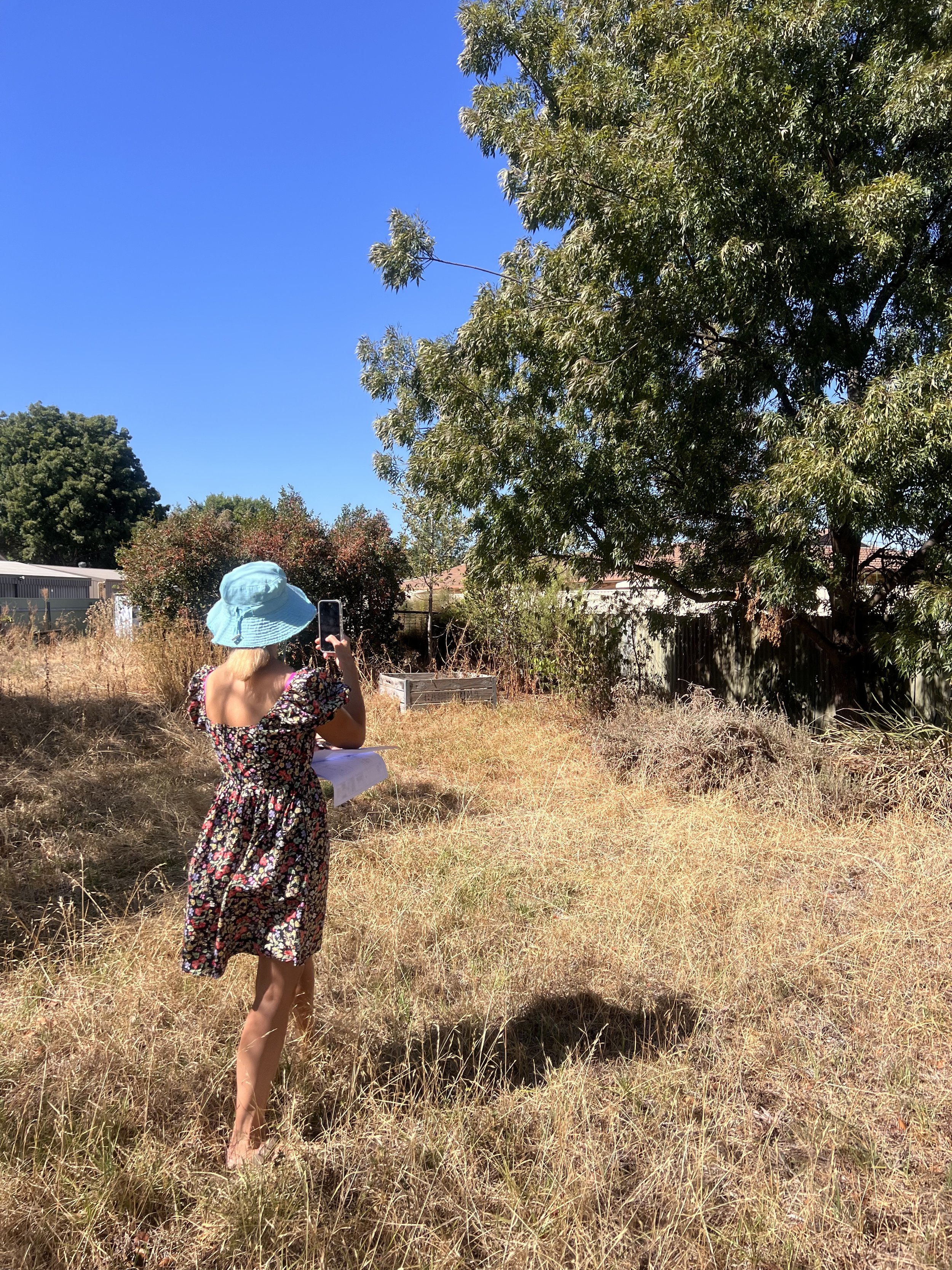 Why architecture and landscape should be designed together