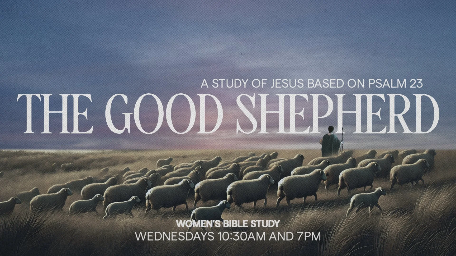 Women's Bible Study (AM)