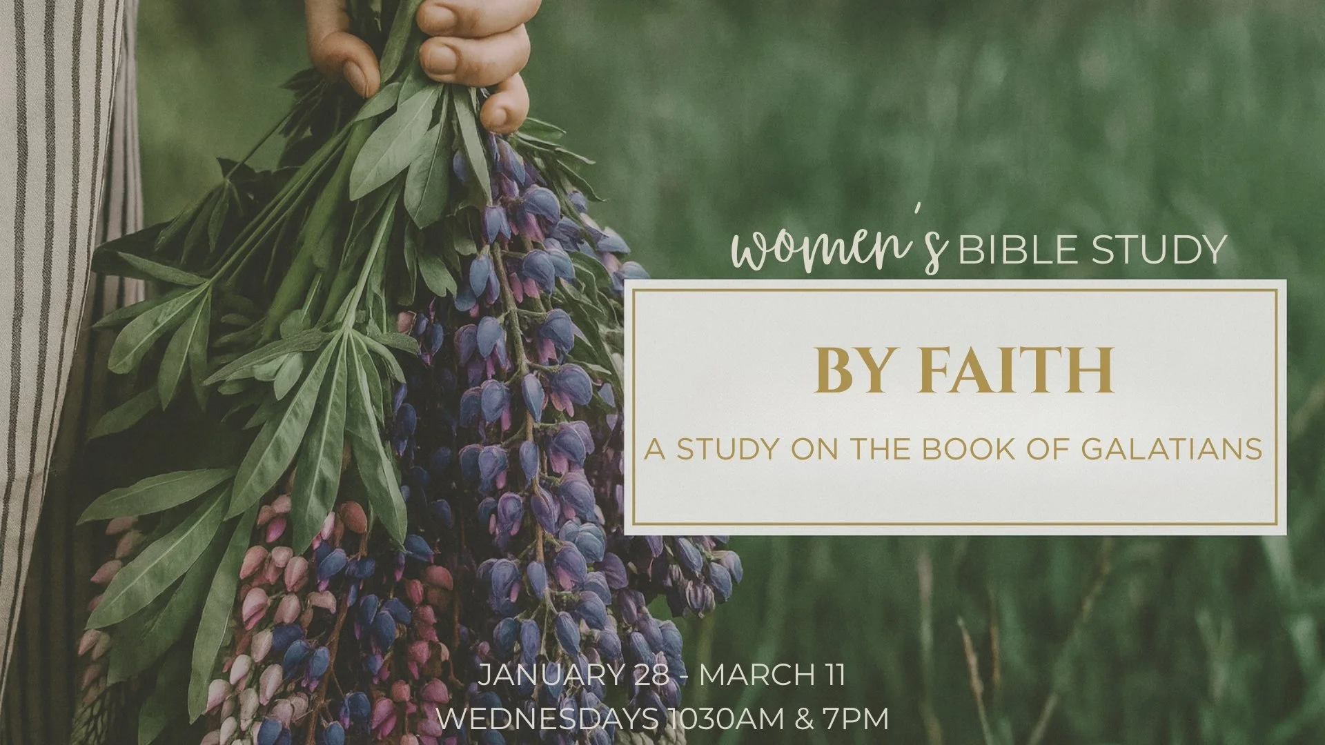 Women's Bible Study (AM)