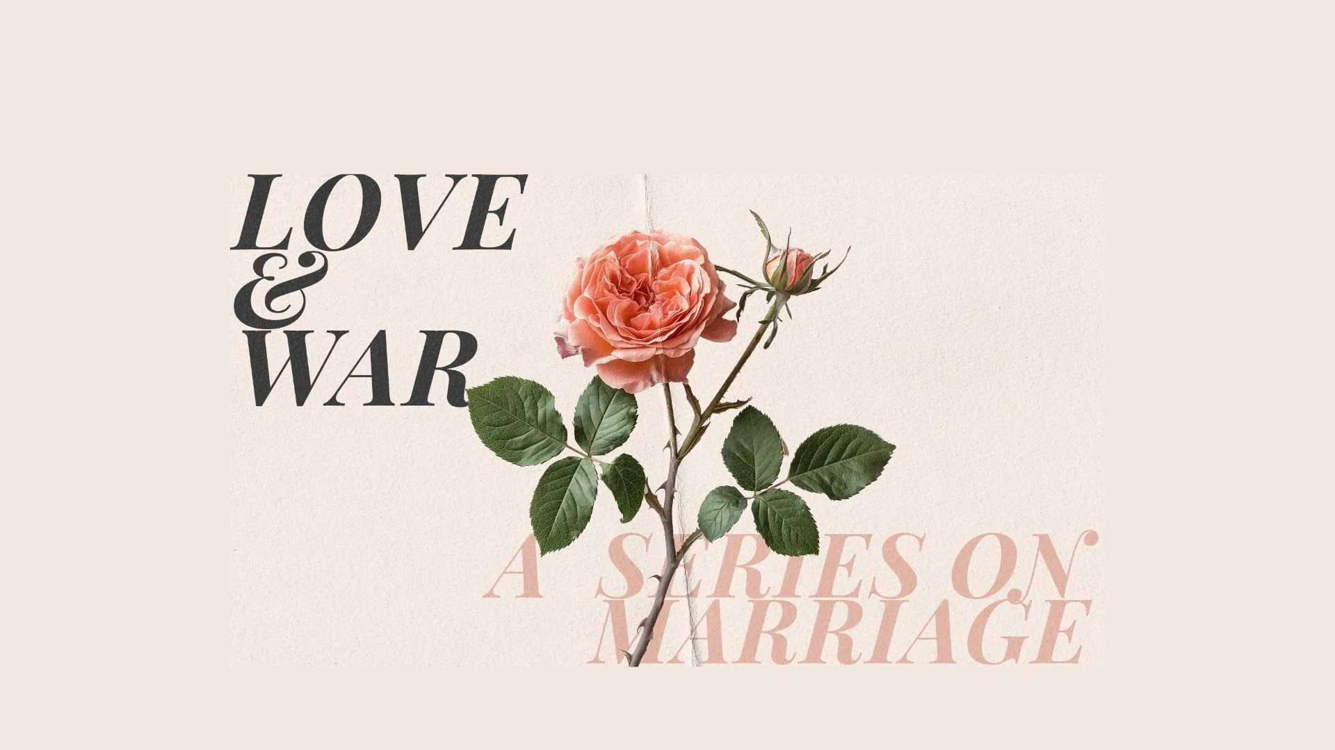 War In Marriage