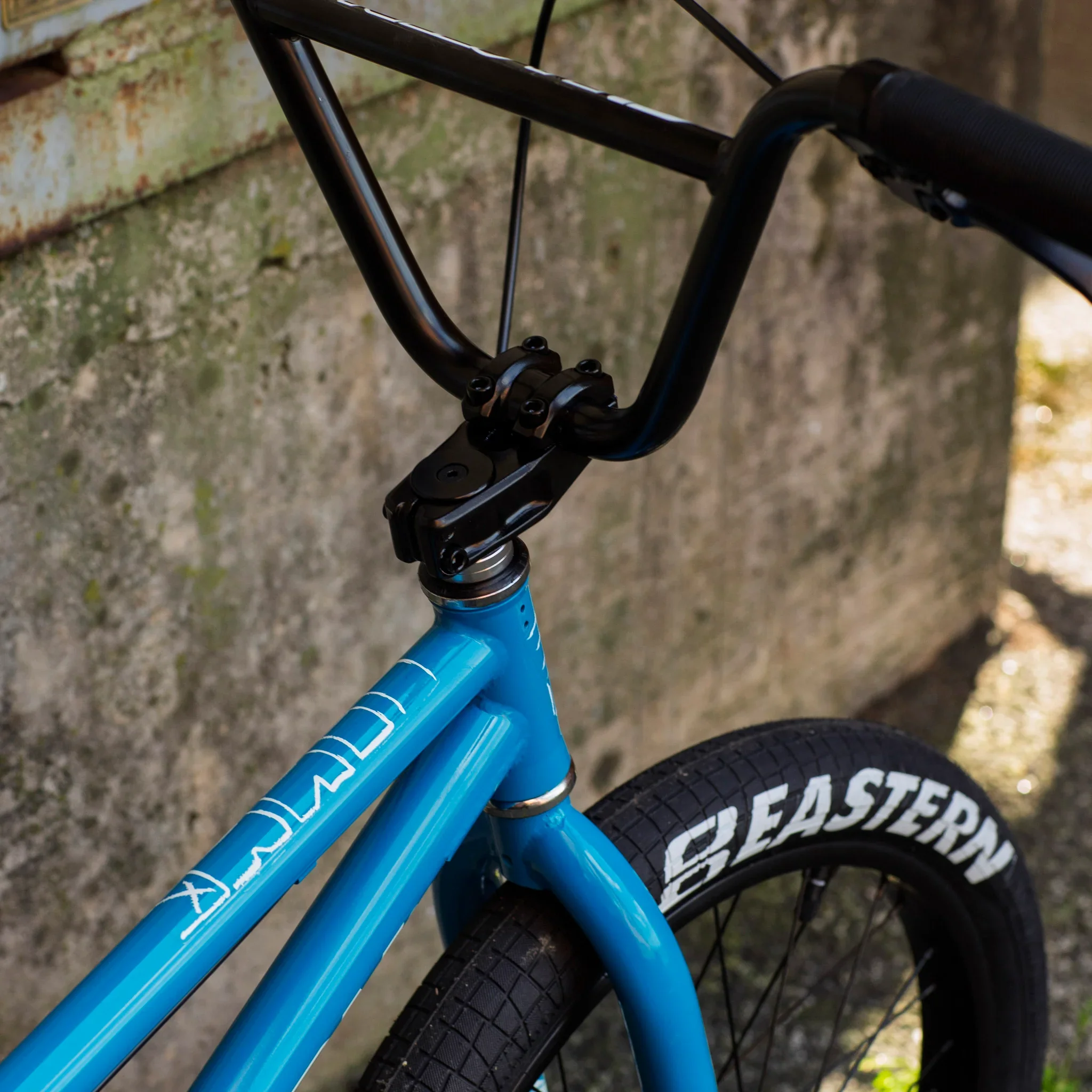 bike-eastern-cobra-blue-29.webp