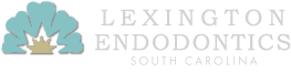 LexEndoLogoHor.png