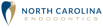 NC Endo Logo.png