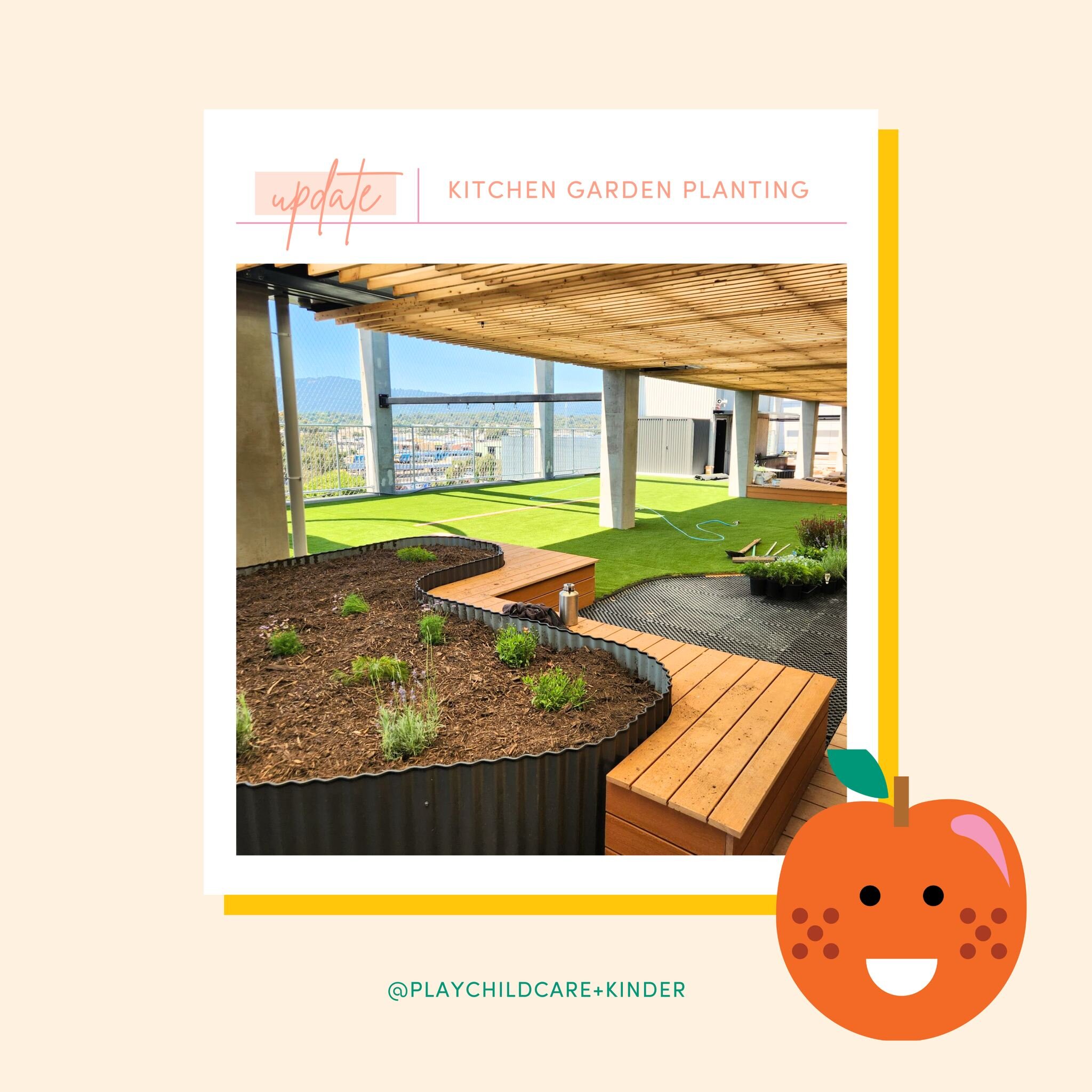 Our Children&rsquo;s Kitchen Garden is starting to bloom!

We are so excited to be able to create this Kitchen Garden and share our passion for local and homegrown produce. When children understand where their food comes from, and how they can grow t