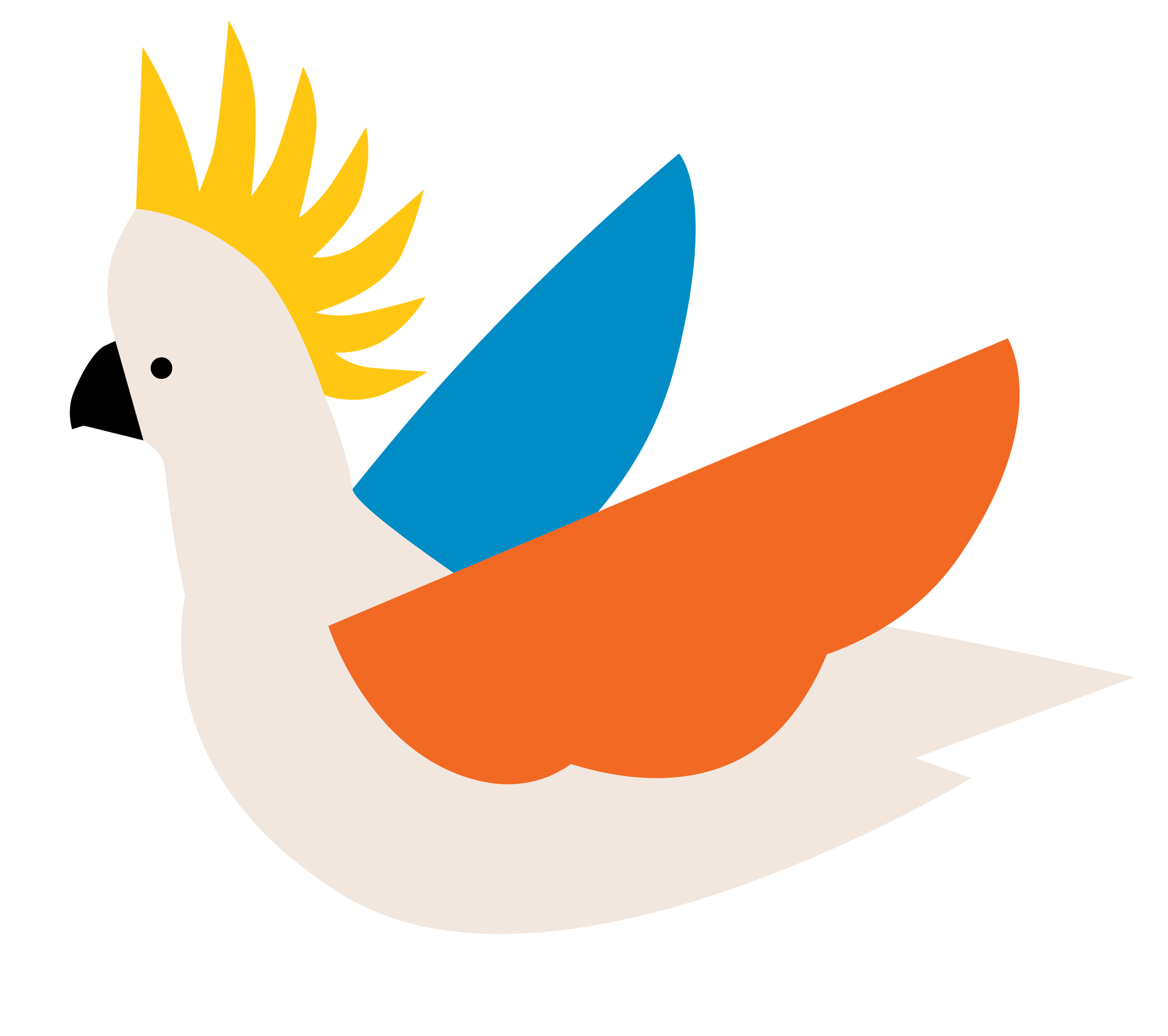 Children and educators demonstrating PLAY Childcare & Kinder values: playful, generous, authentic and welcoming