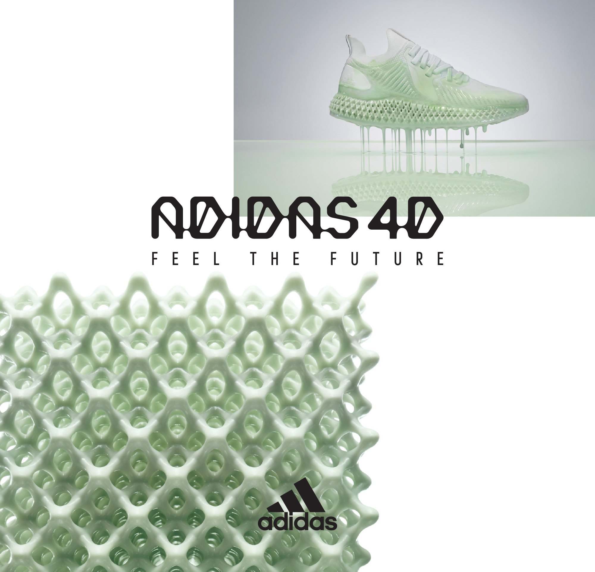 190417_Alphaedge4D_Layouts-1.jpg