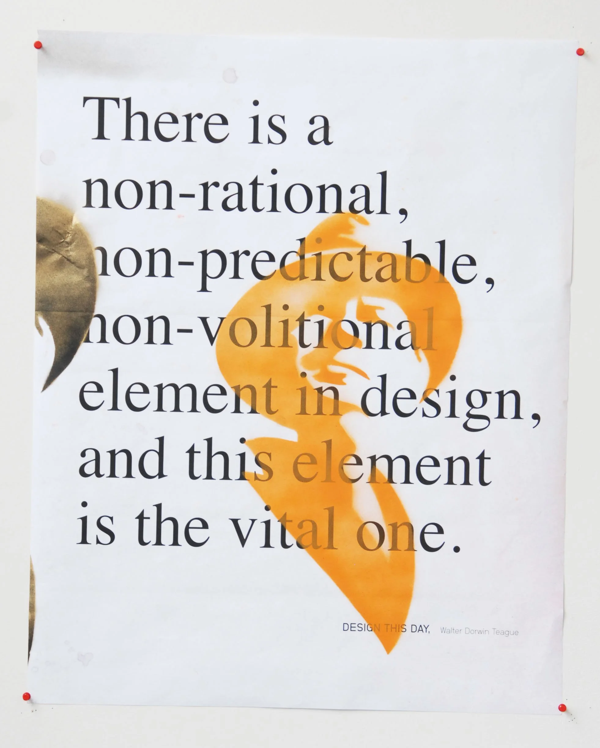 DSC_0133.jpeg