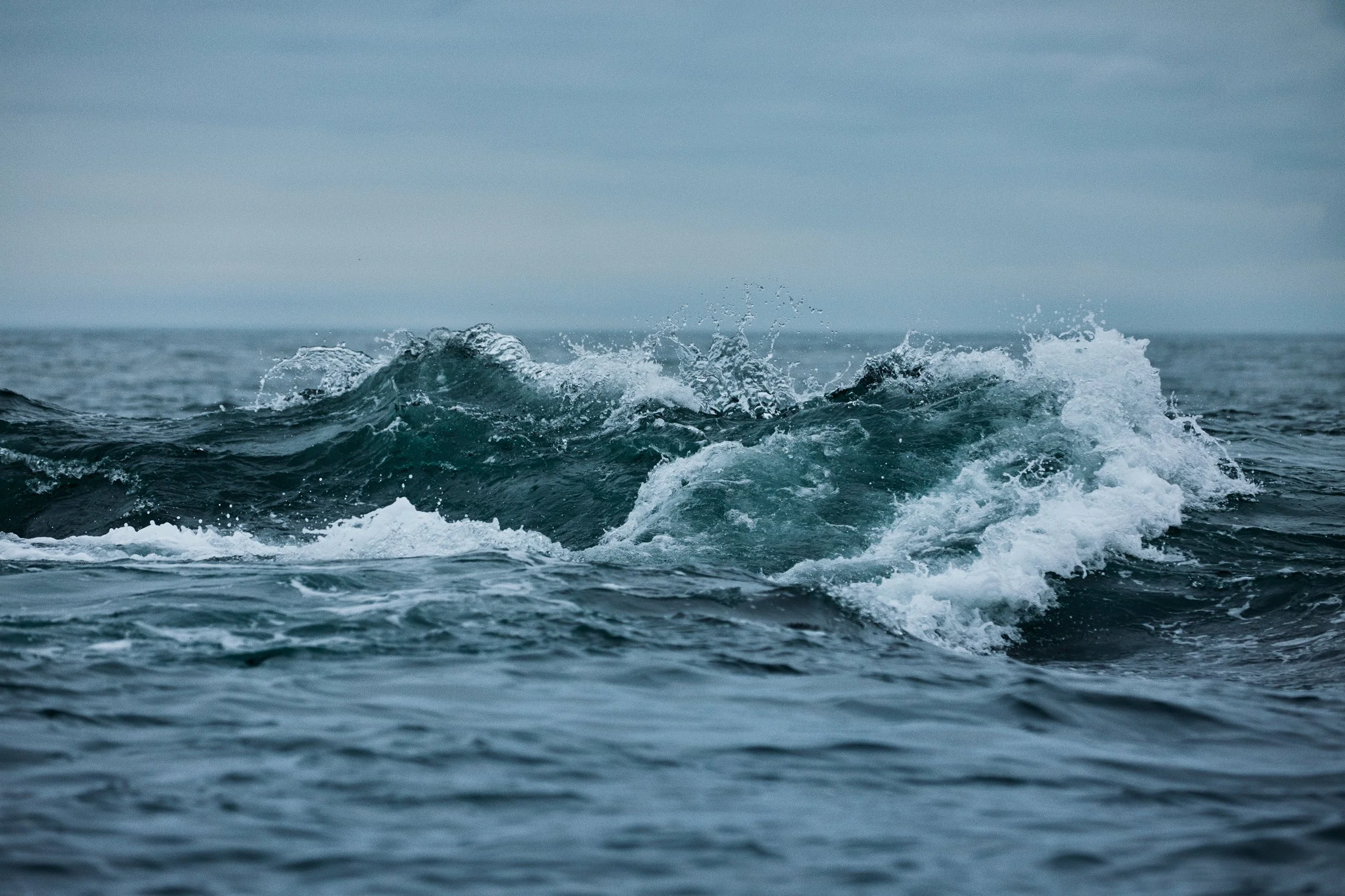 ParleyXCat_FW19_Enviromental_Ocean 3_RGB.jpeg
