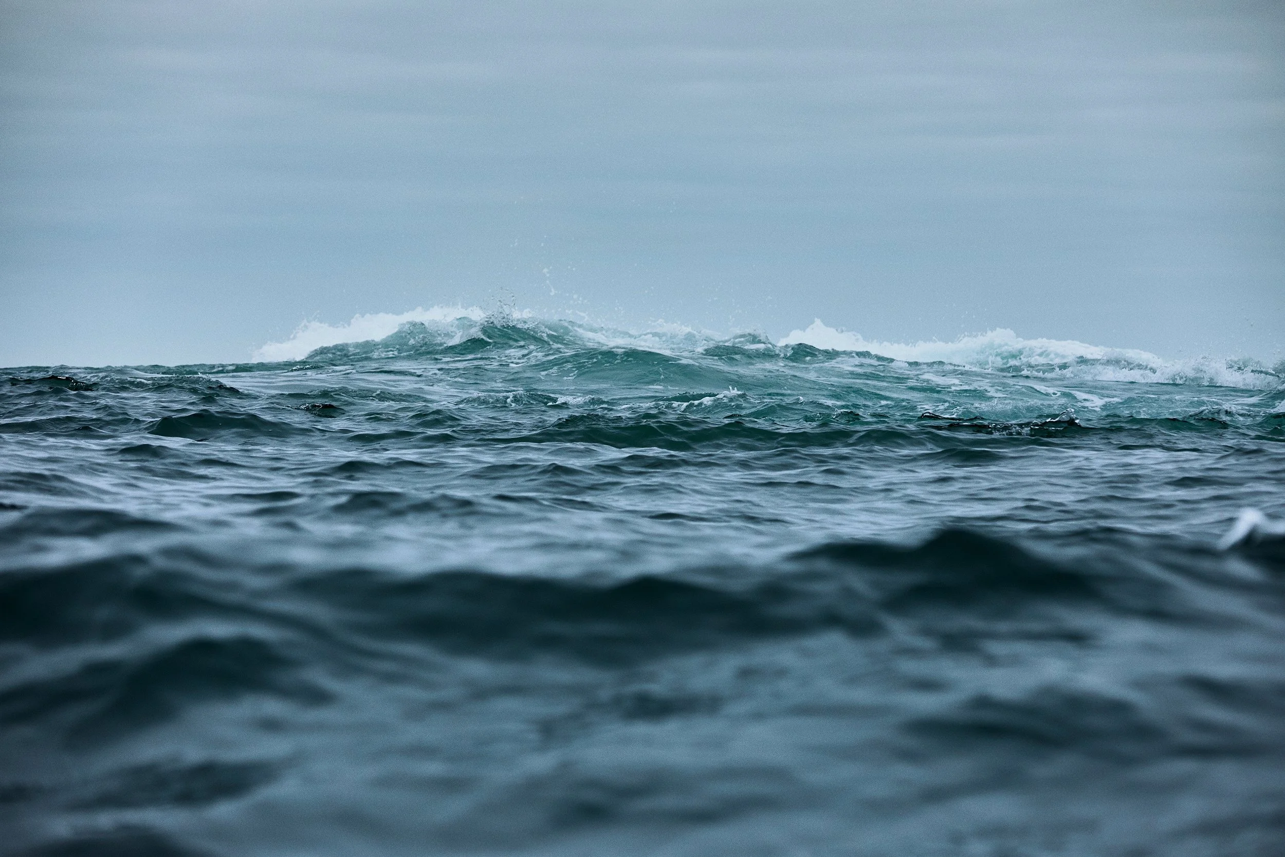 ParleyXCat_FW19_Enviromental_Ocean 2_RGB.jpeg