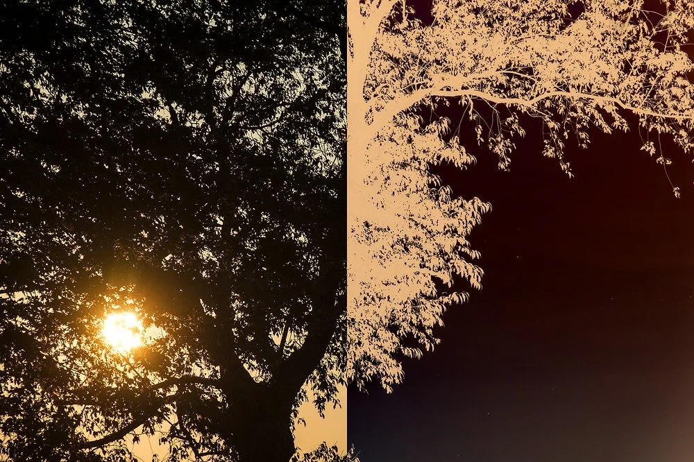 2017-08-30 19.39.17
55 x 36cm